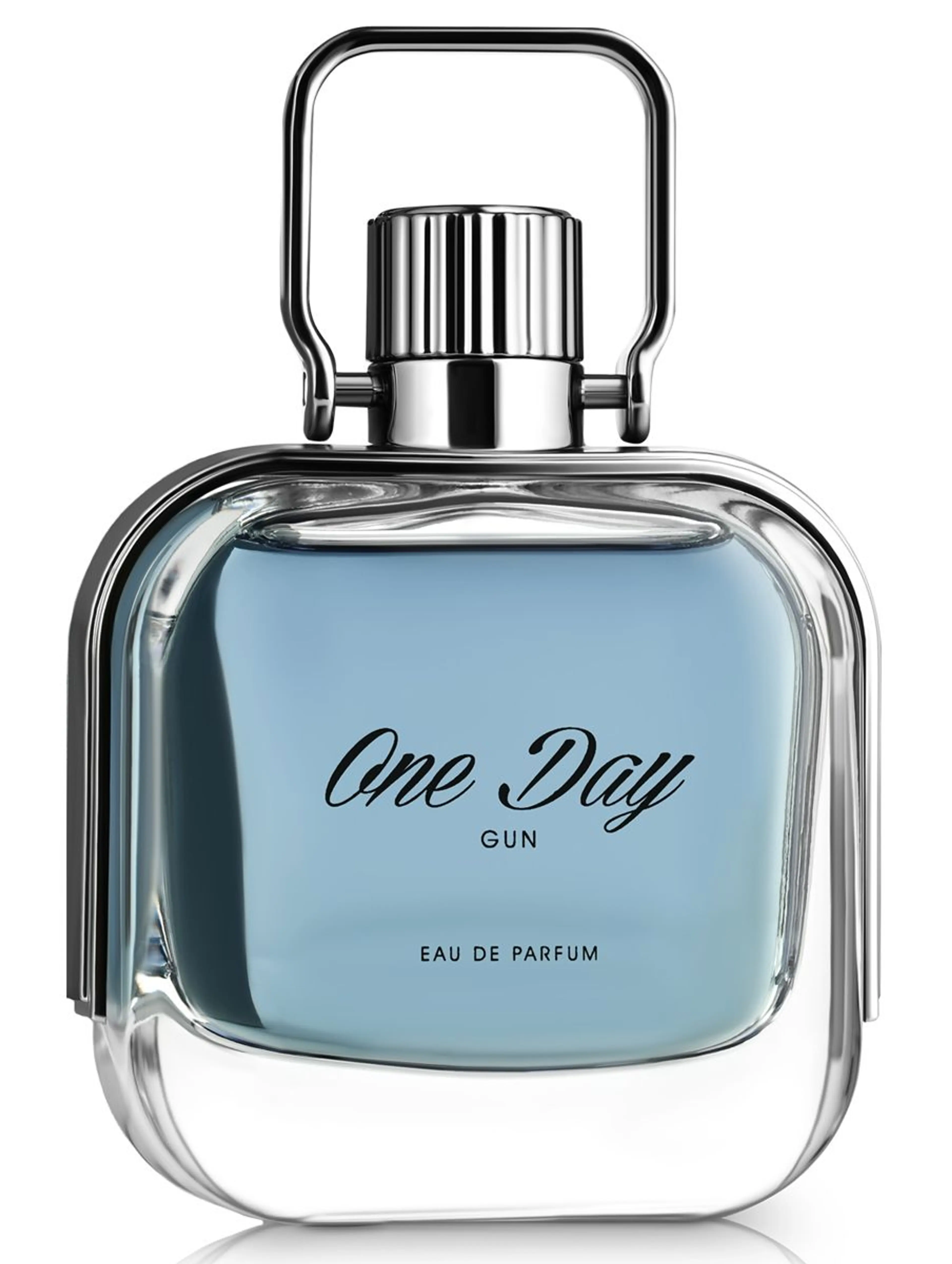 One Day Gun