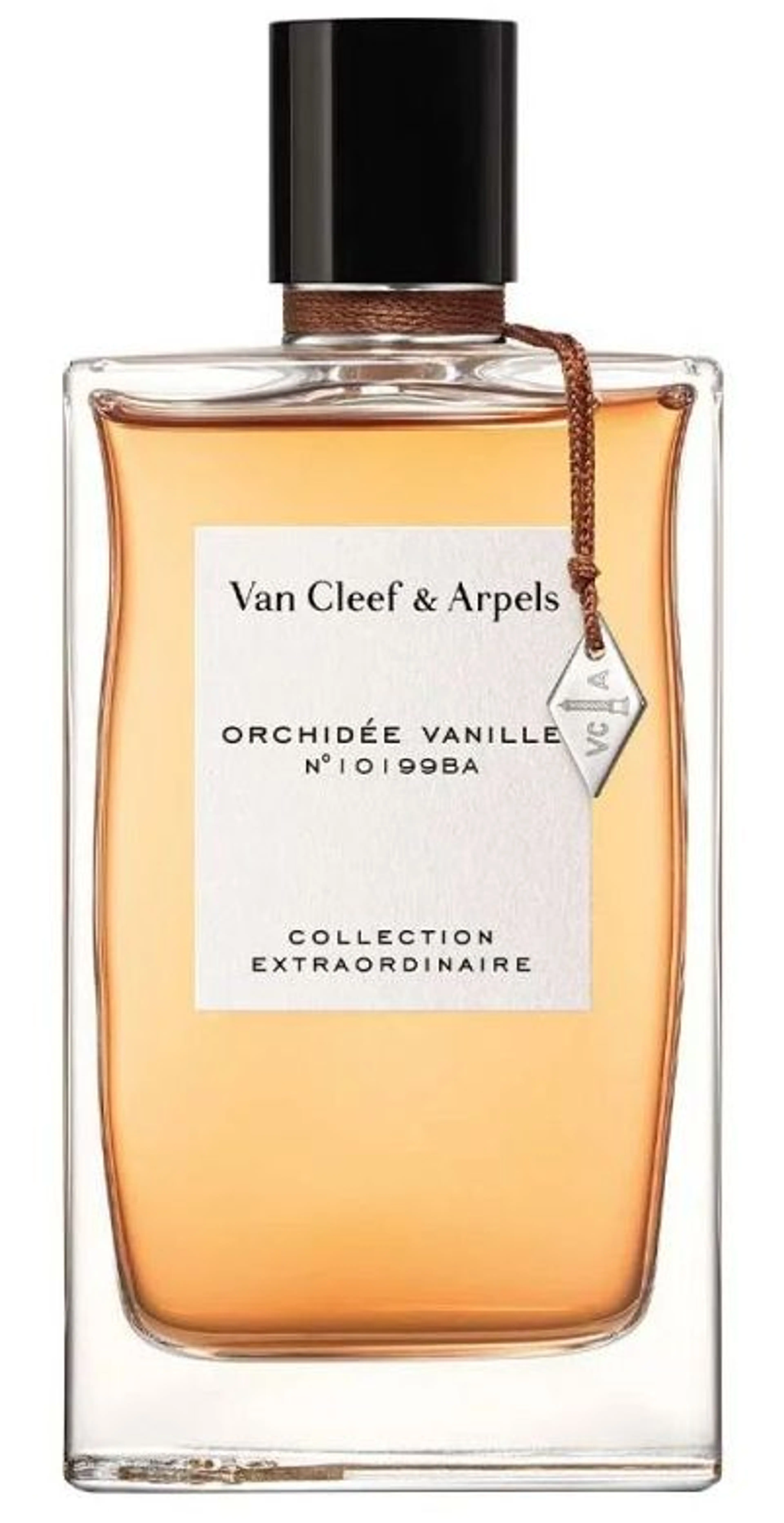 Orchidee Vanille