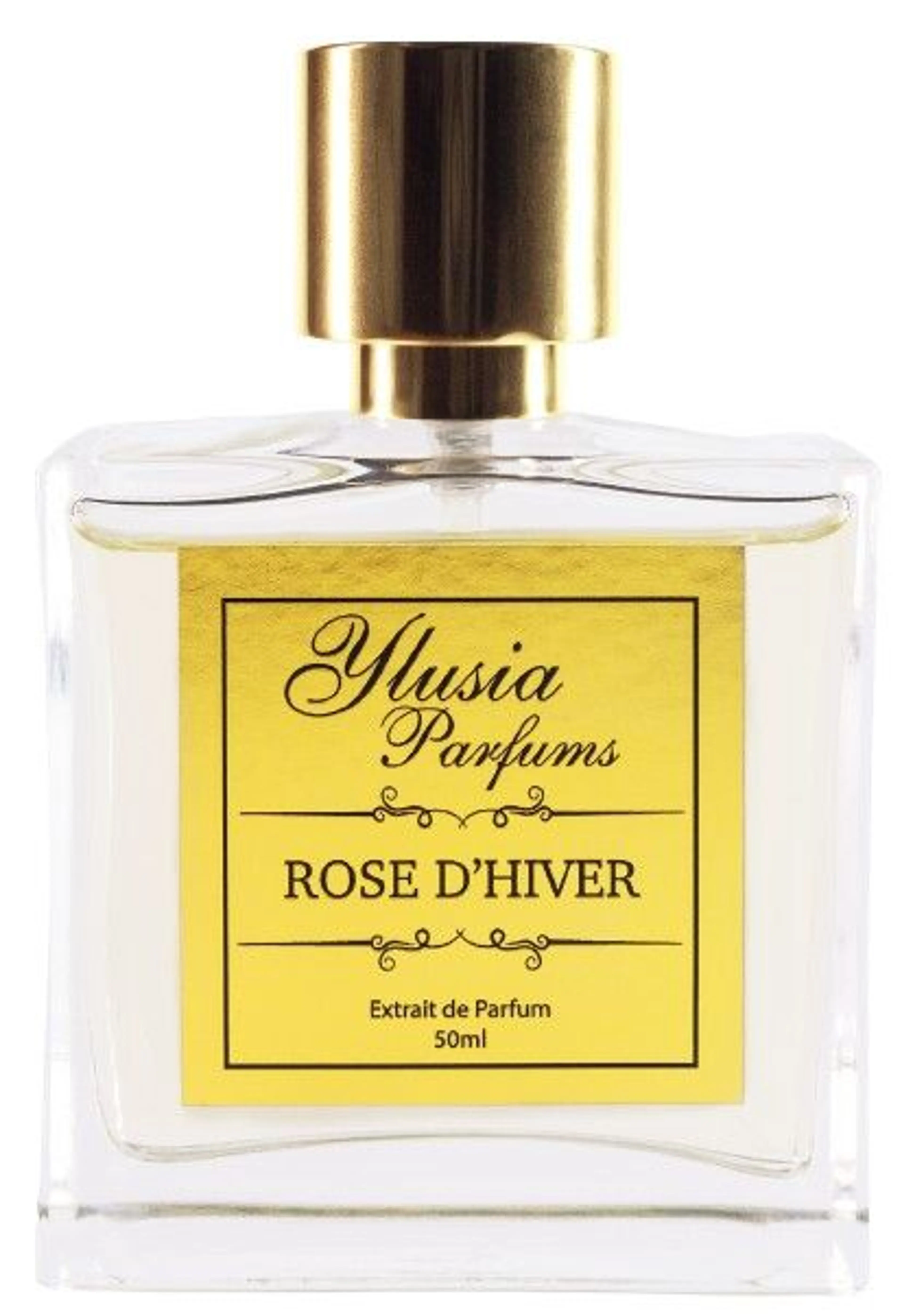 Rose d'Hiver