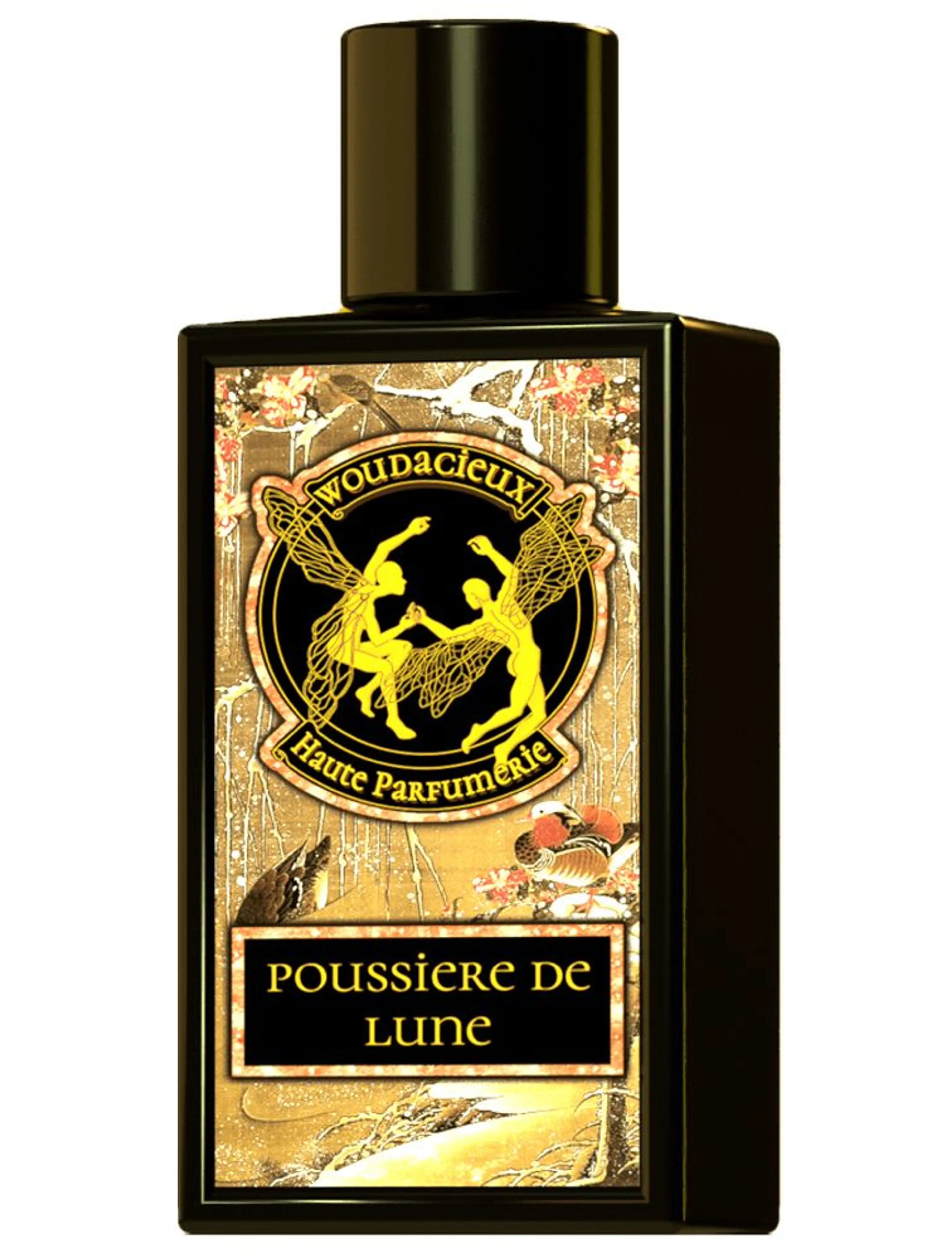 Poussiere De Lune