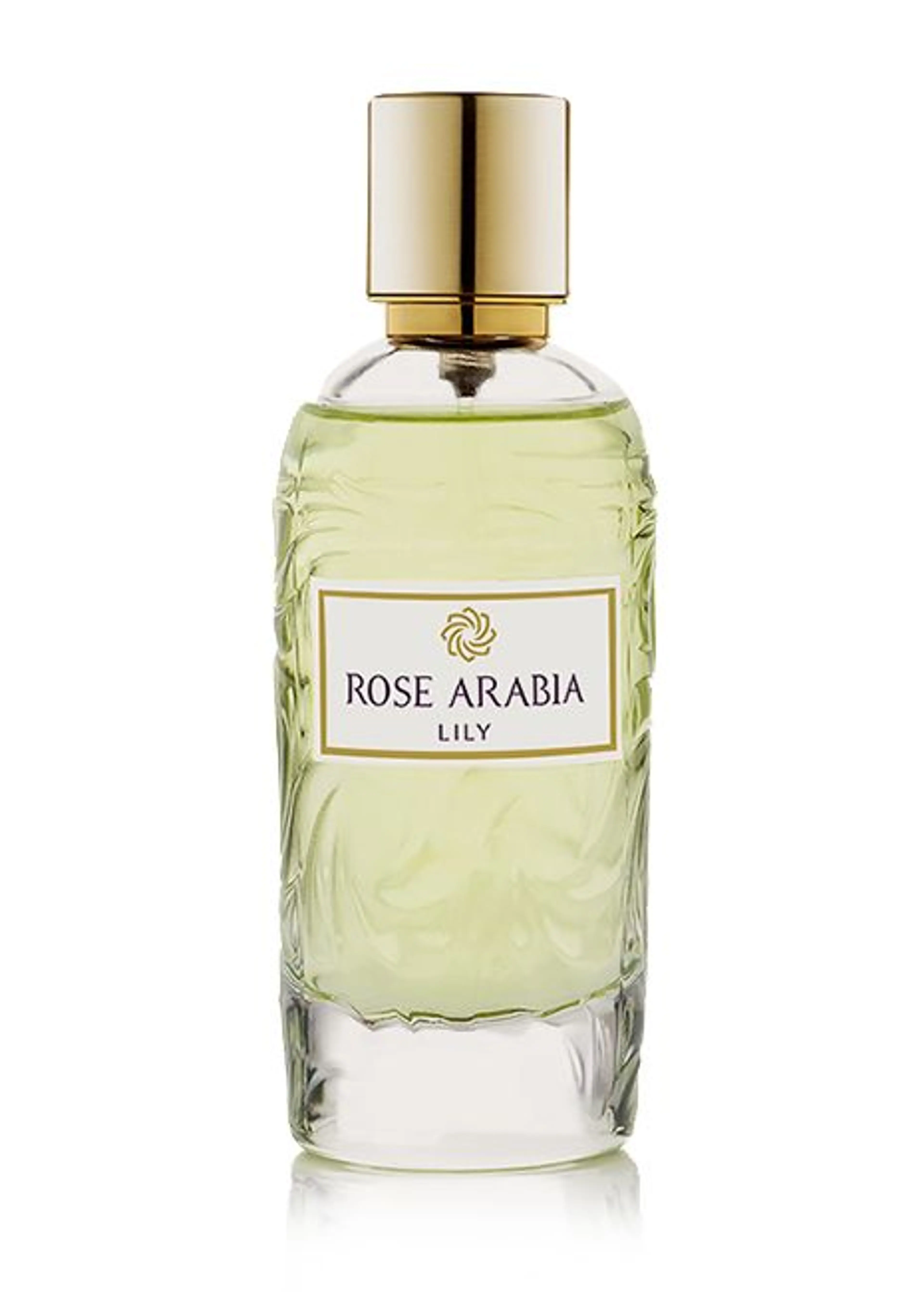 Rose Arabia Lily