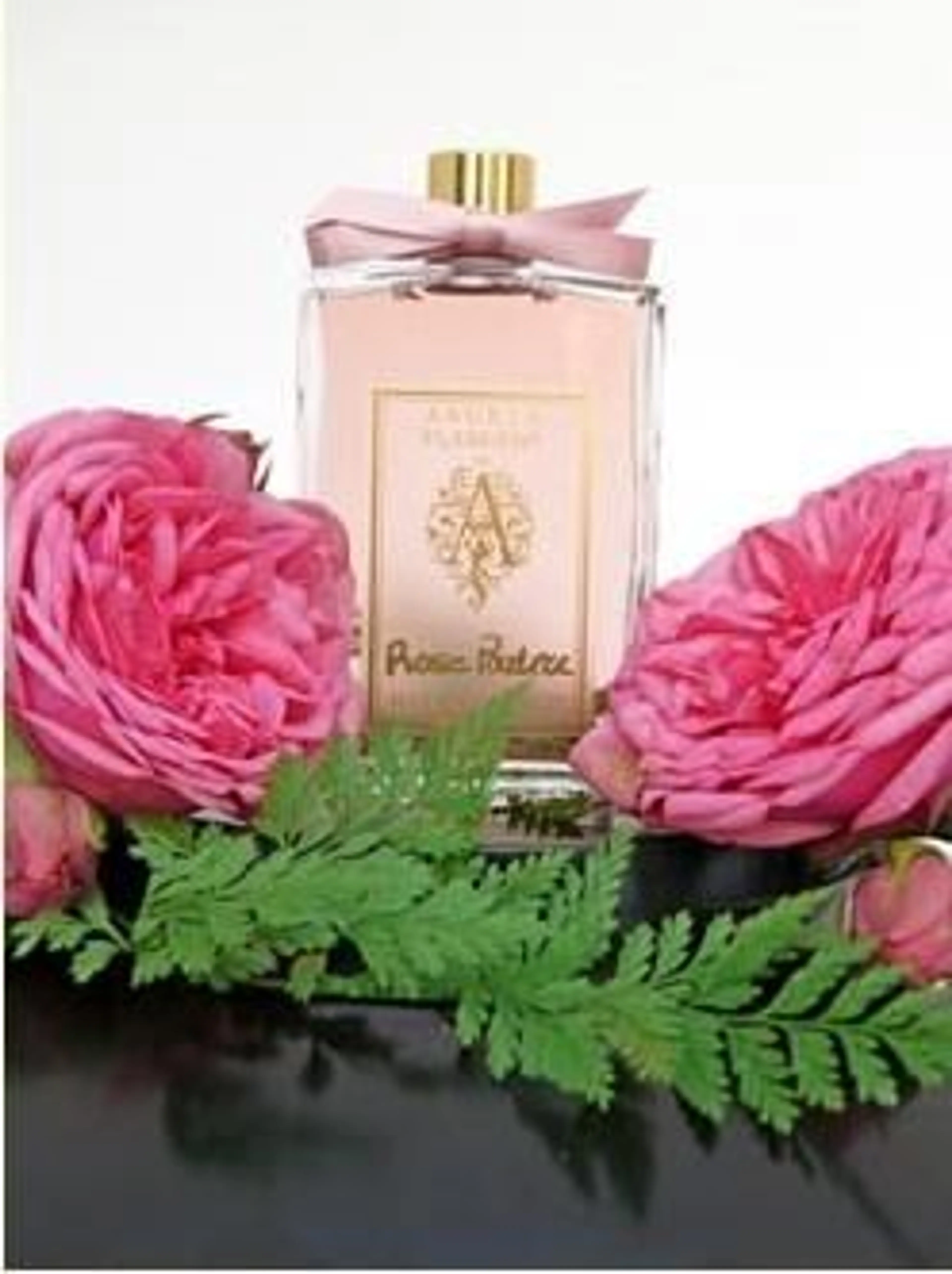 Rose Poudree