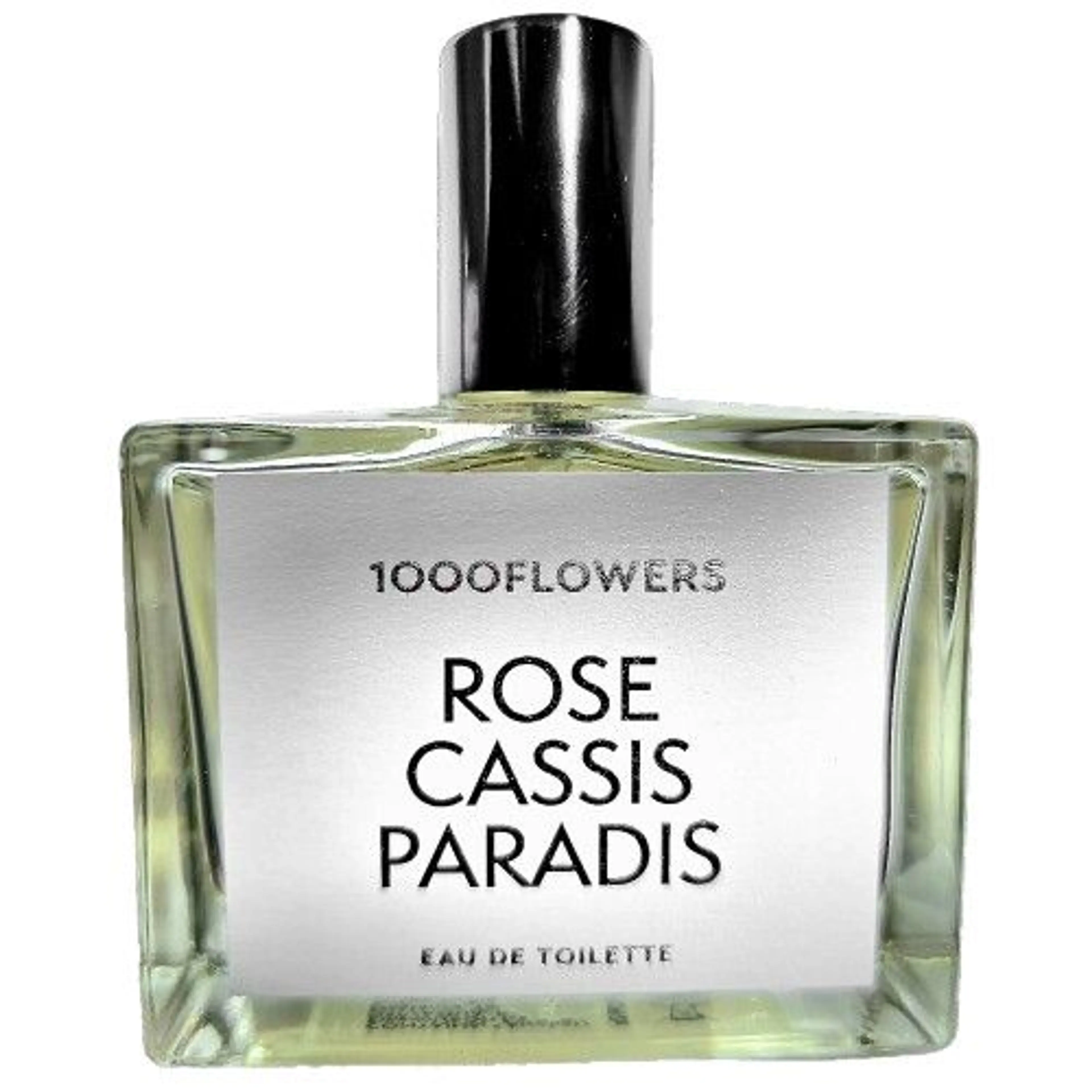 Rose Cassis Paradis