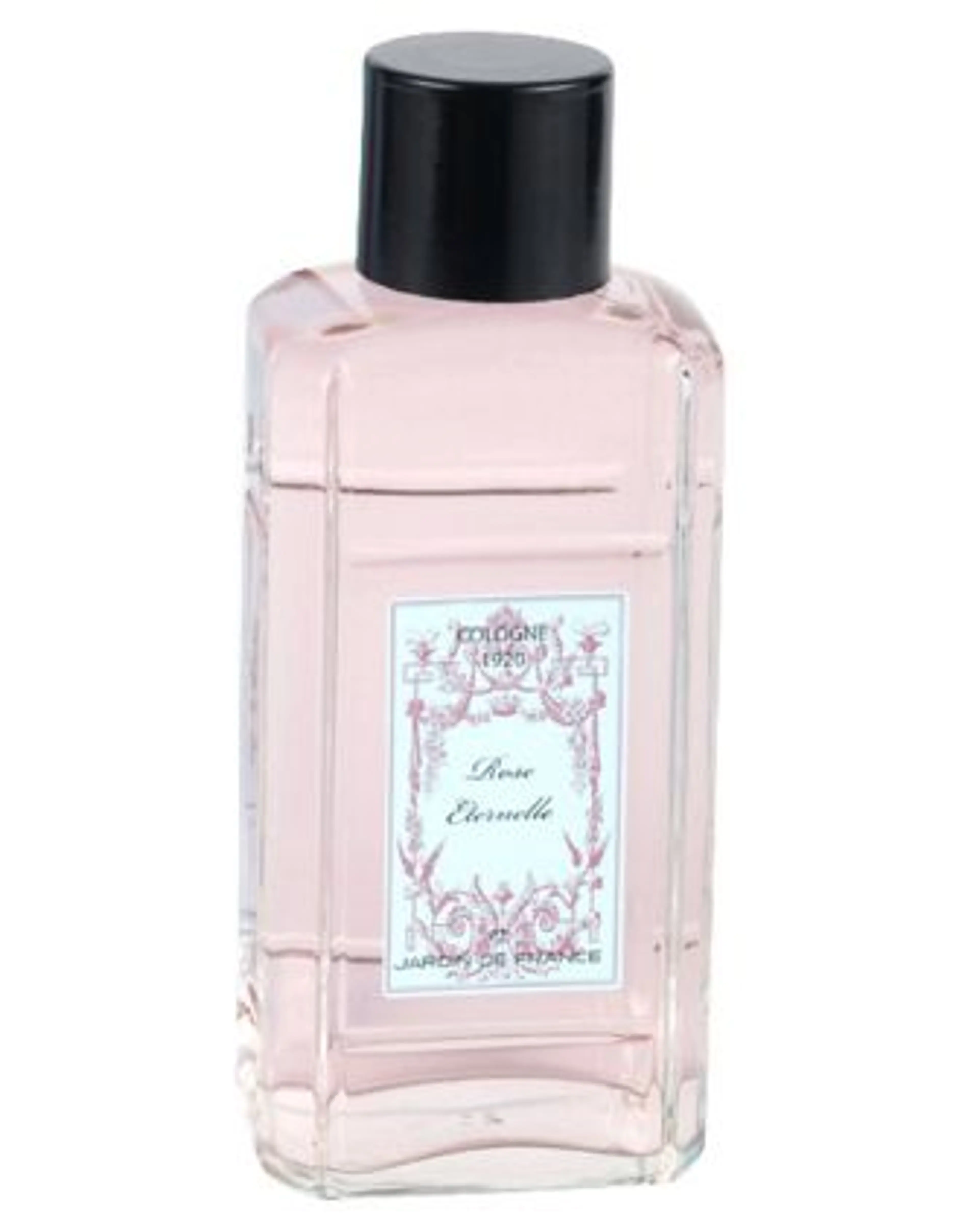 Rose Eternelle