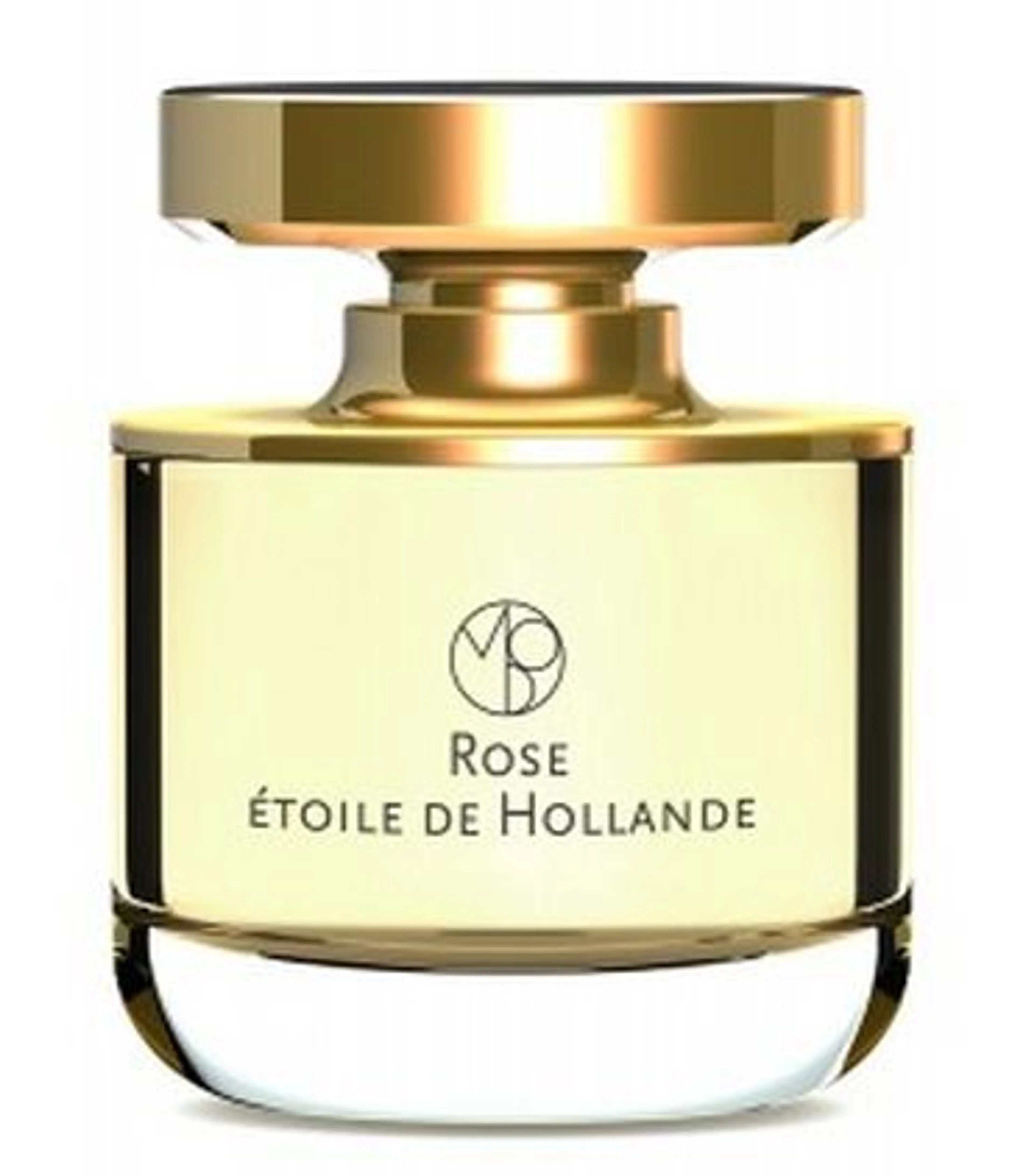 Rose Etoile de Hollande