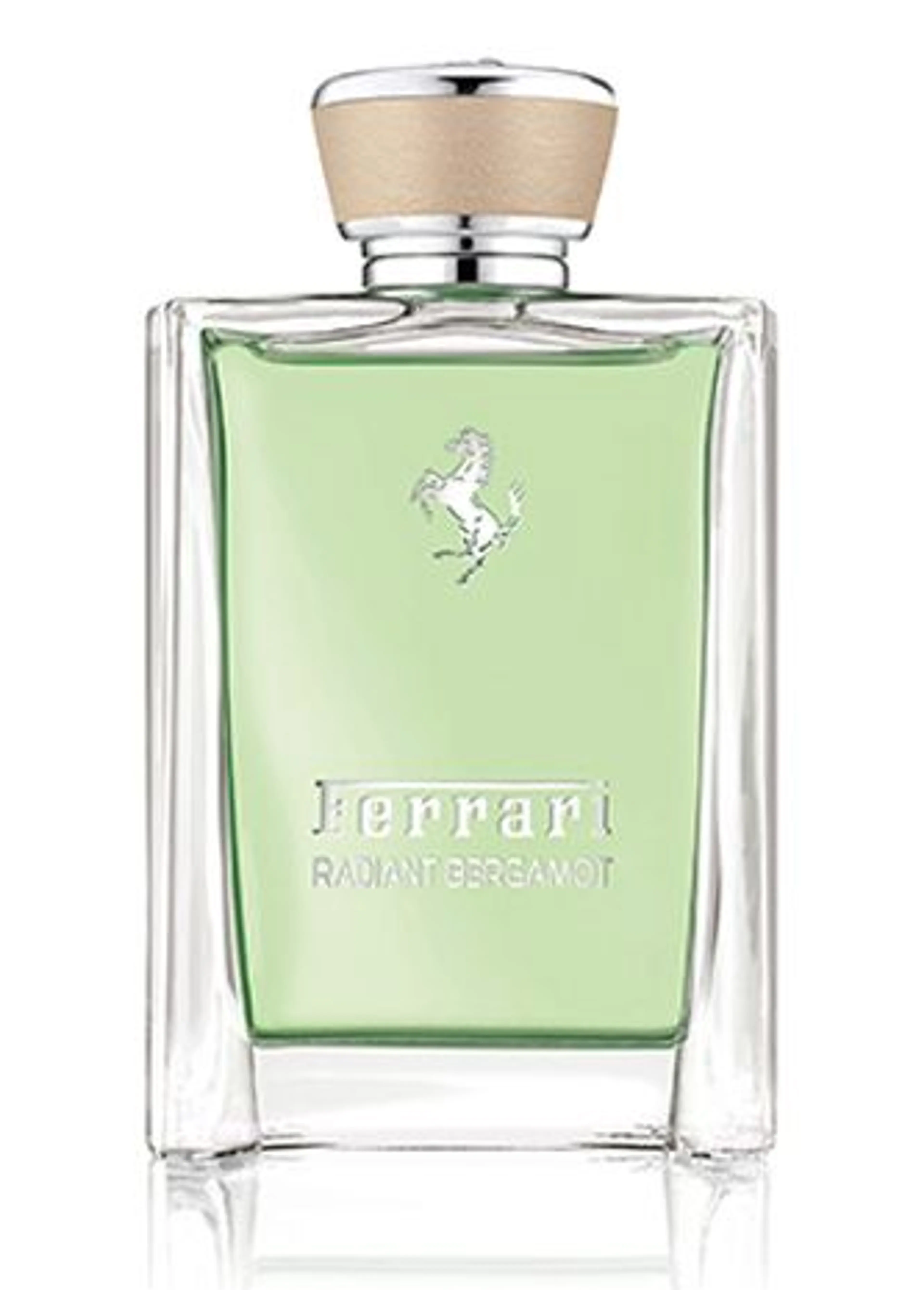 Radiant Bergamot
