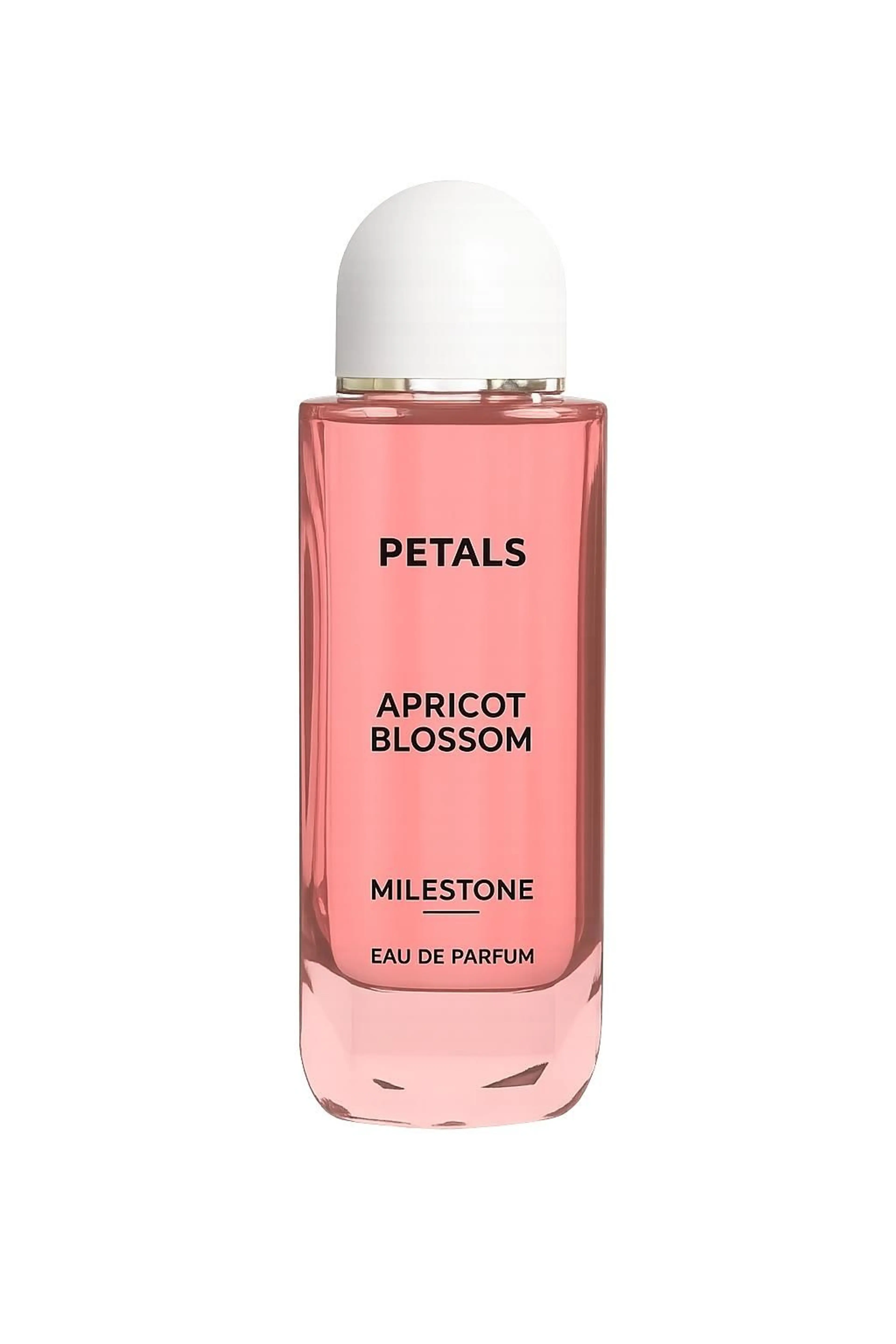 Petals Apricot Blossom