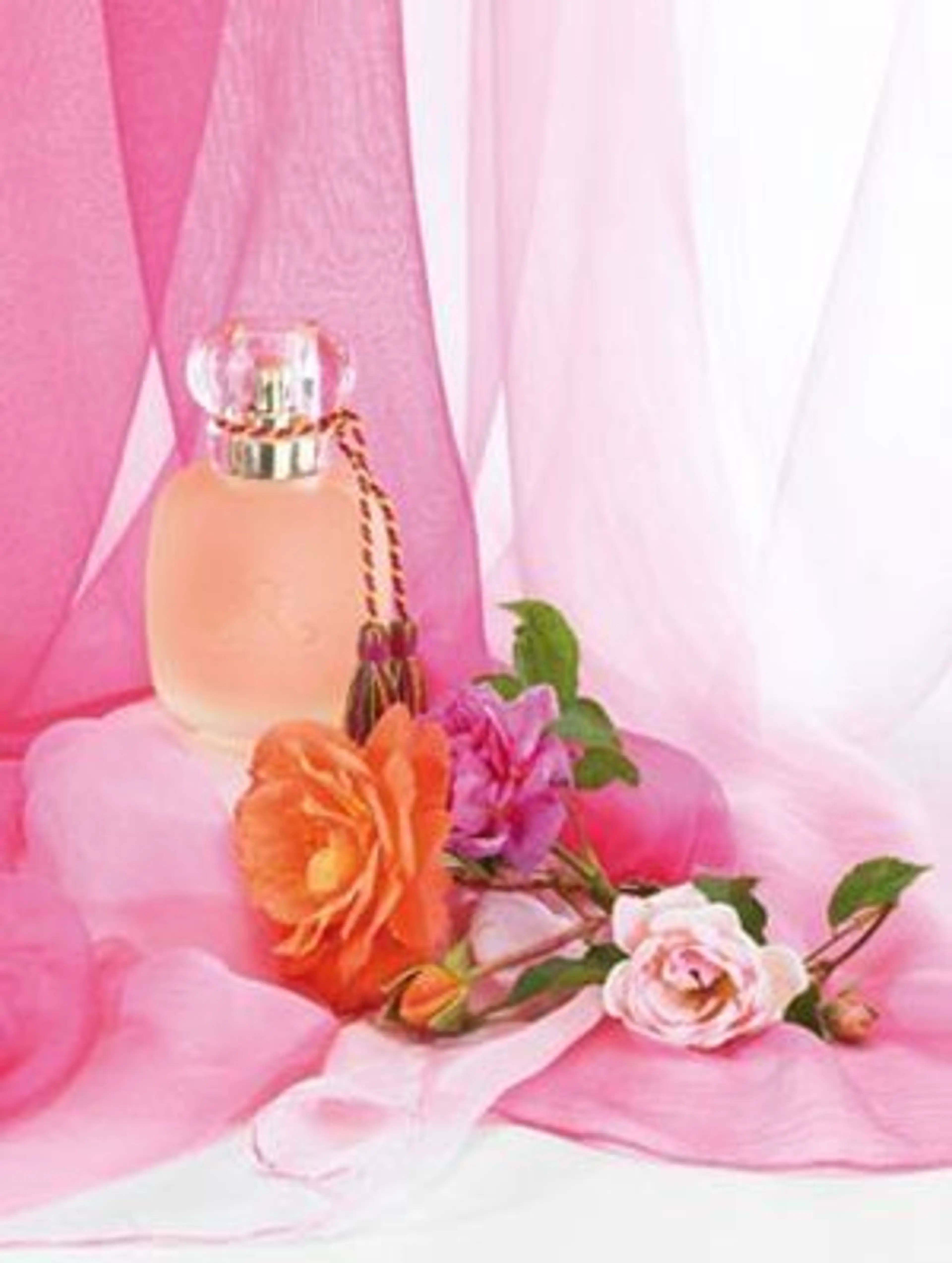 Rose Kashmirie