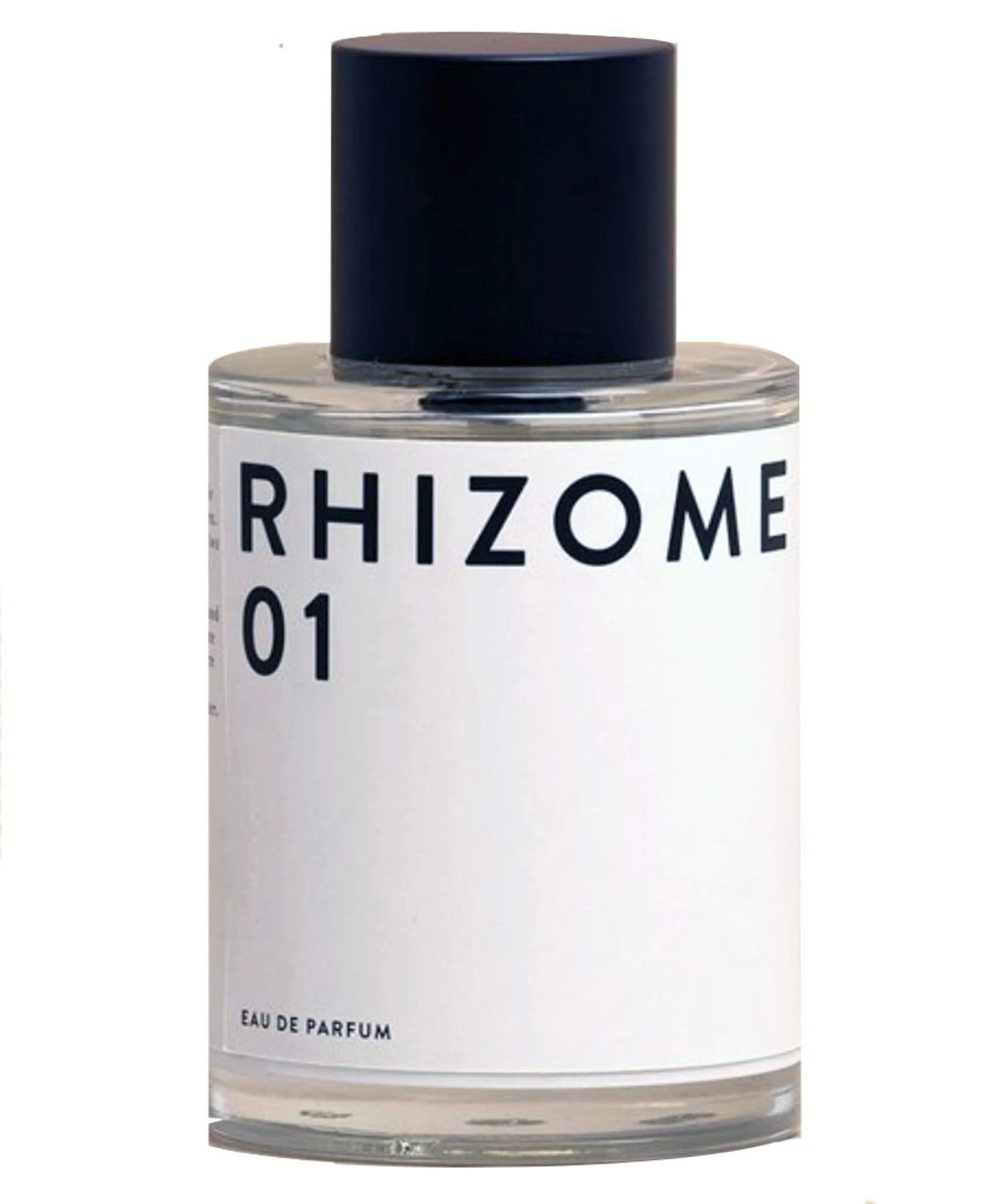 Rhizome 01