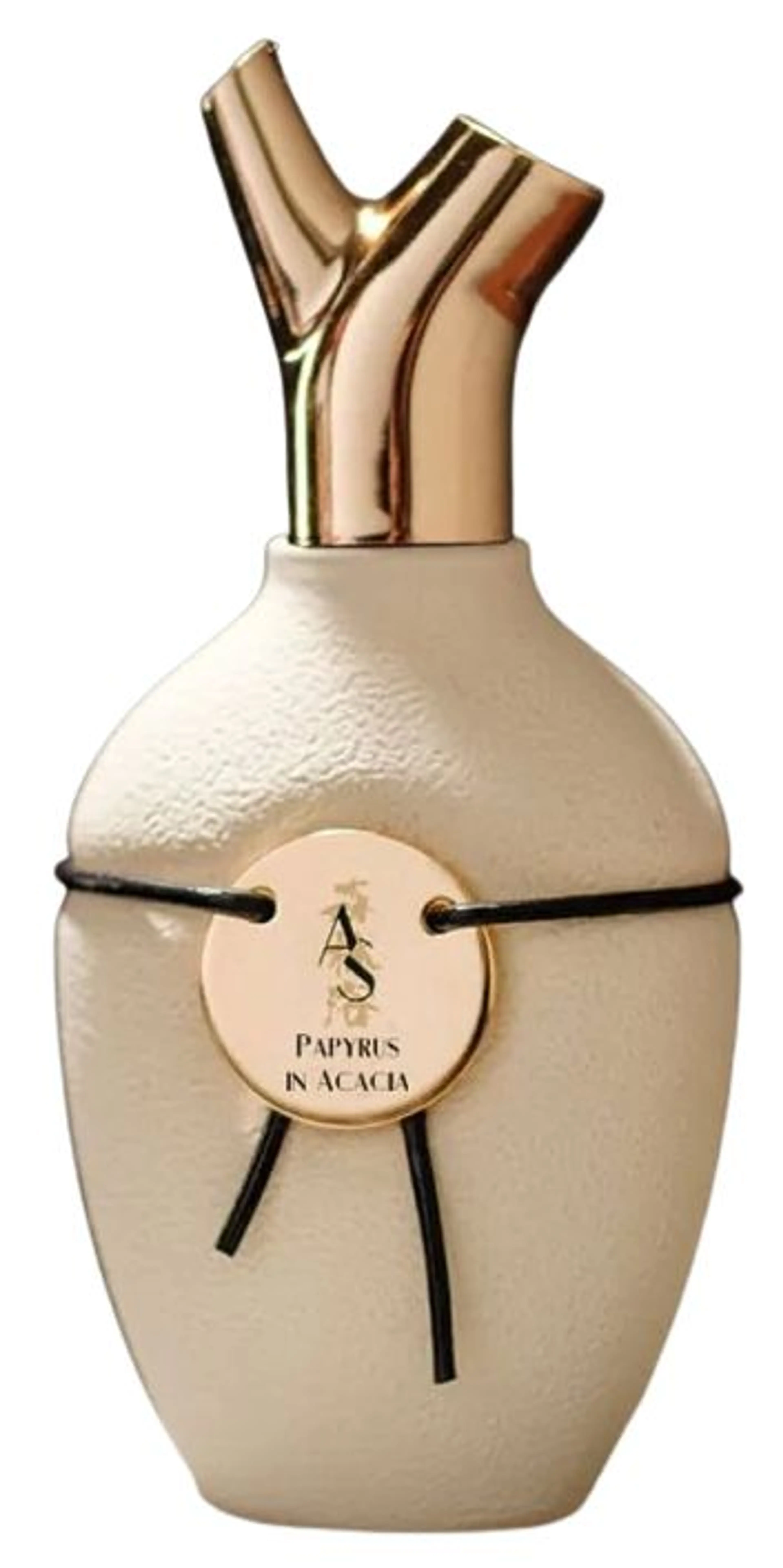 Papyrus in Acacia