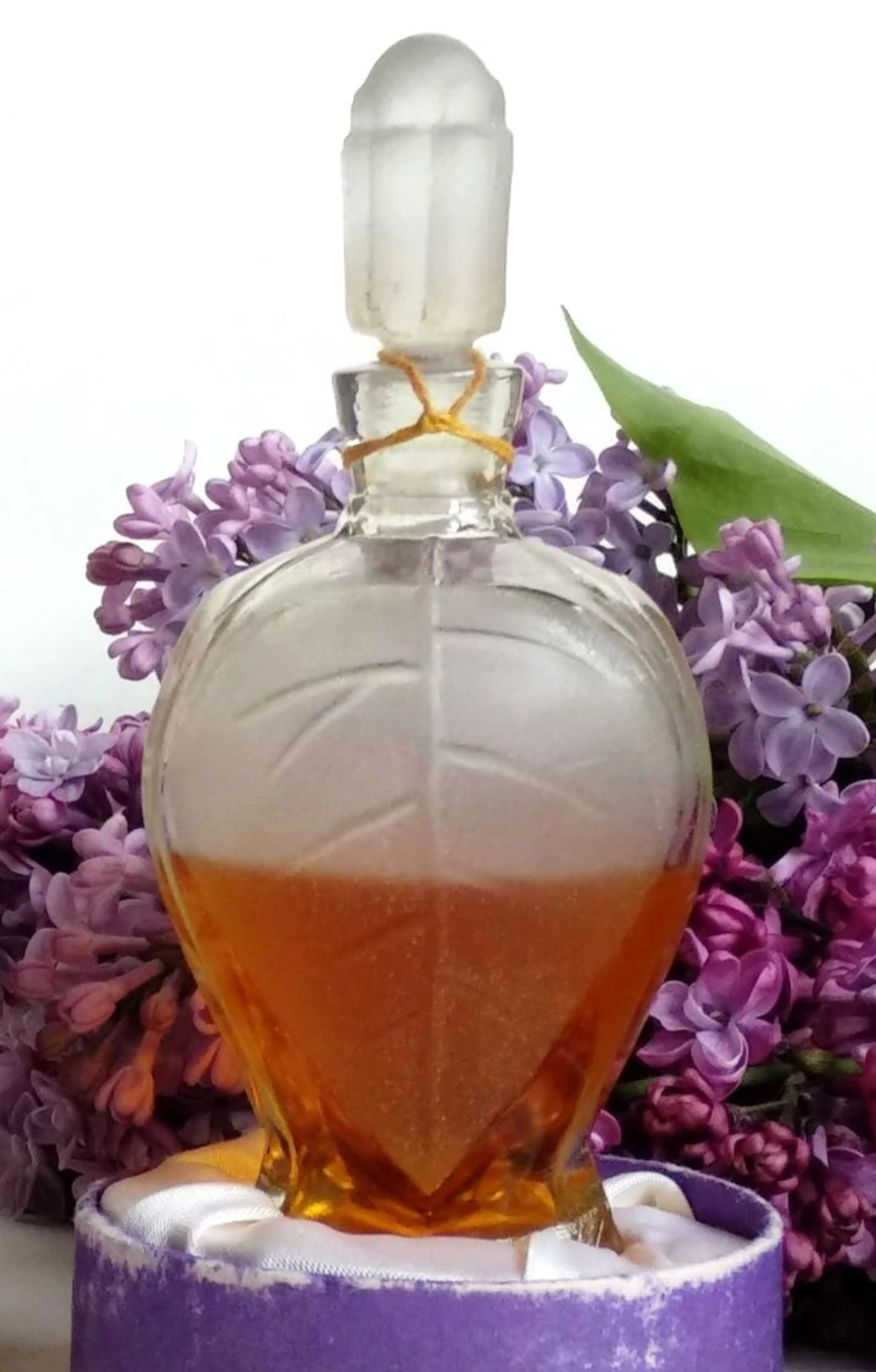 Rīgas cēriņi (Рижская сирень)