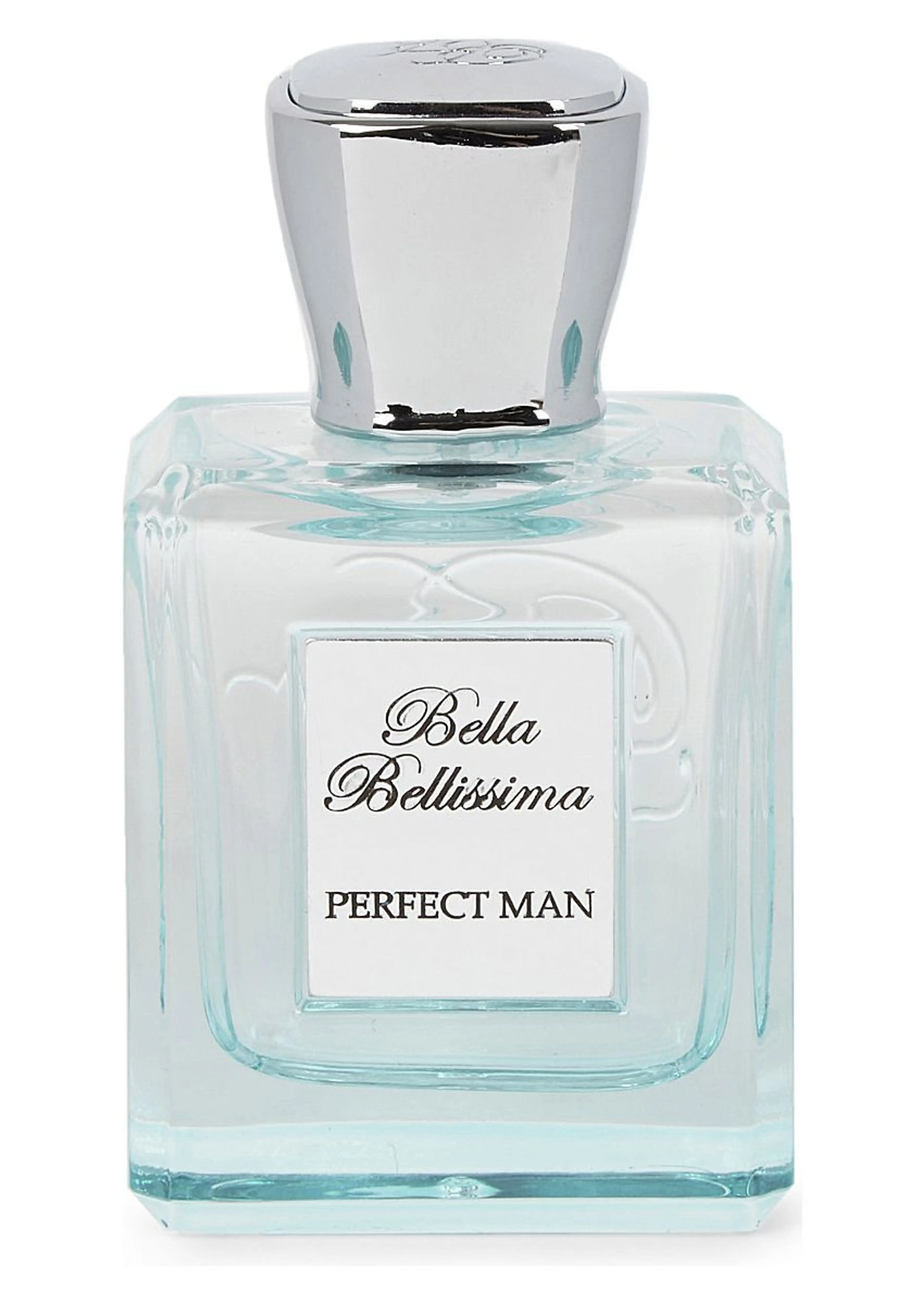 Perfect Man