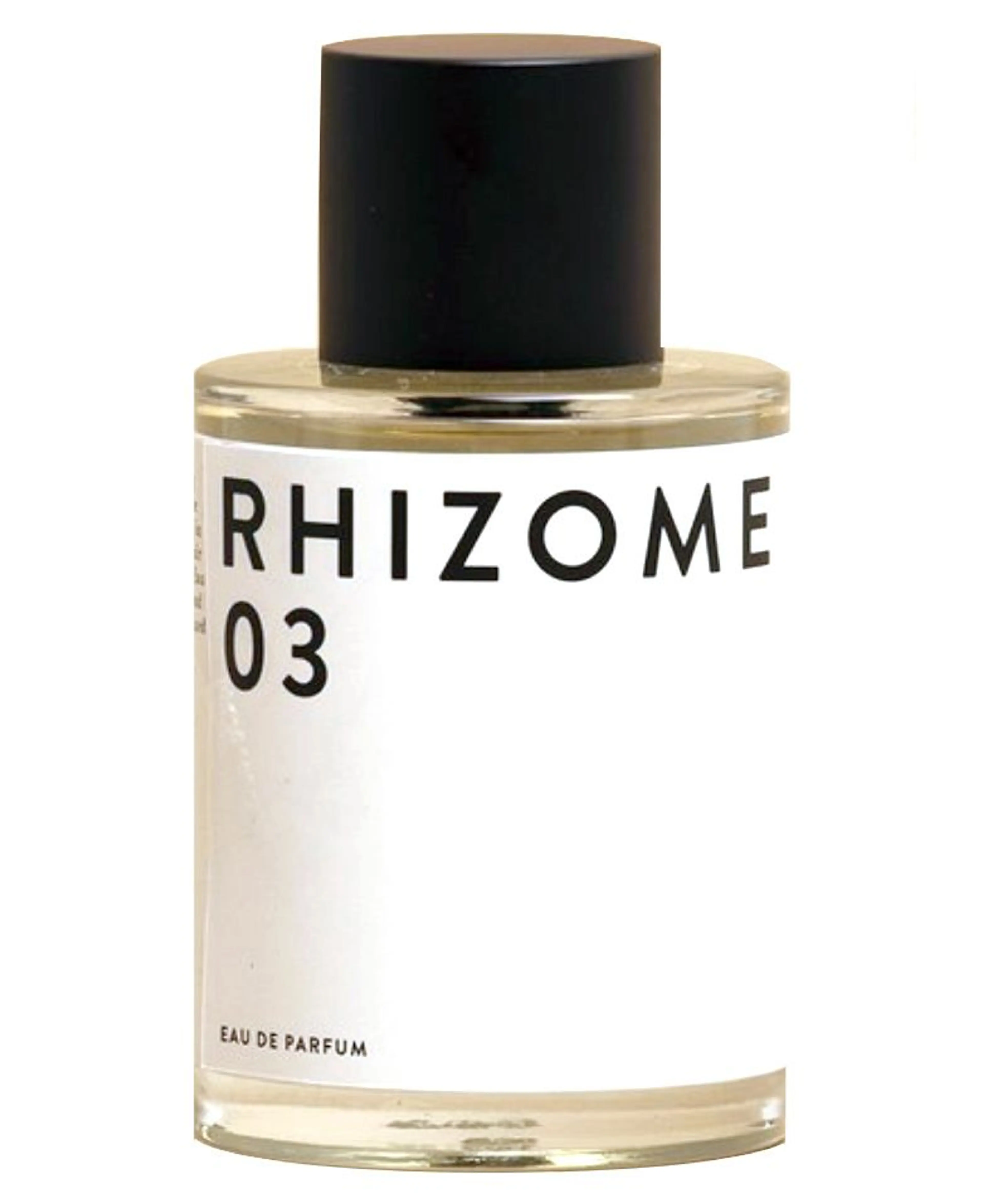 Rhizome 03