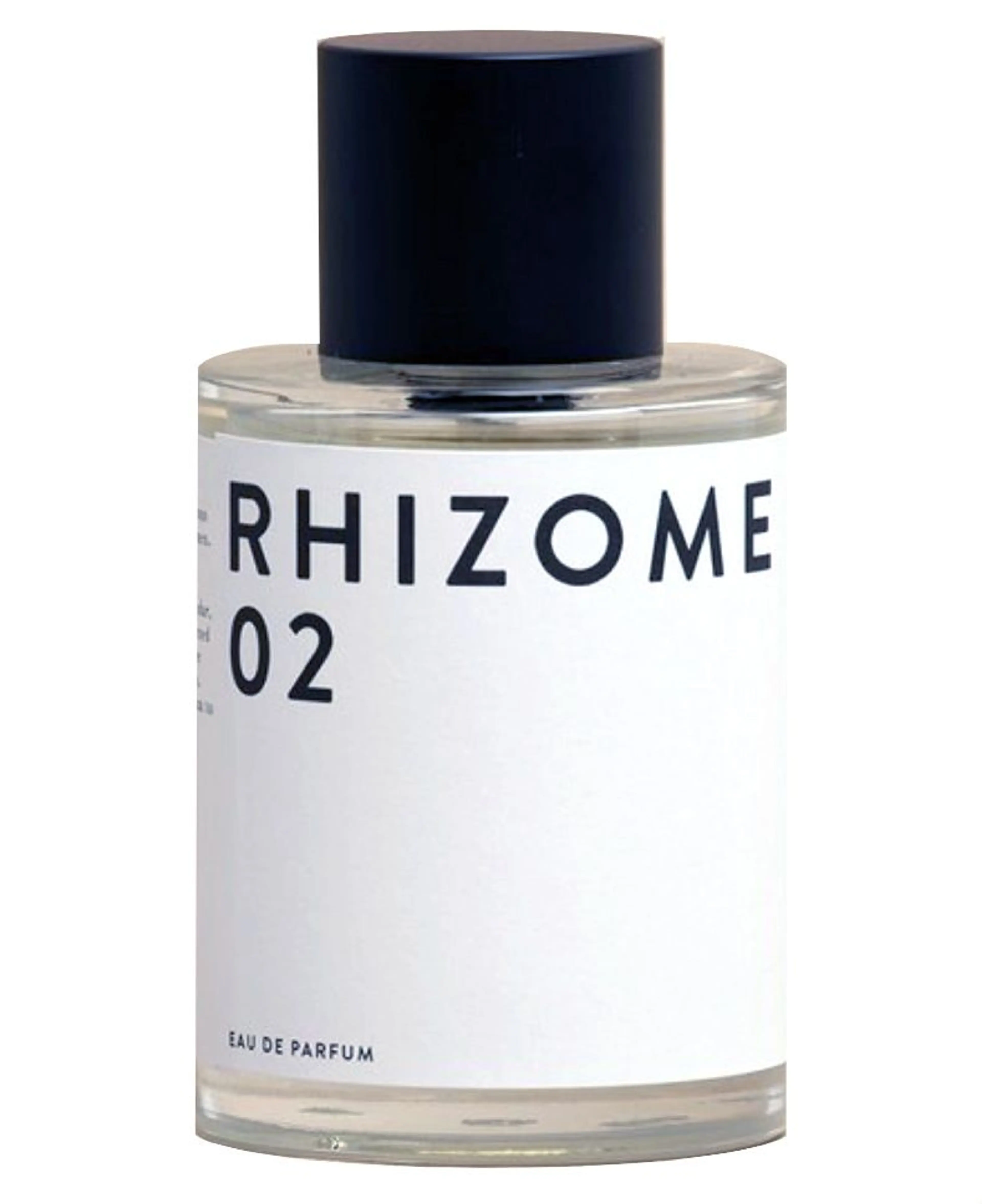 Rhizome 02