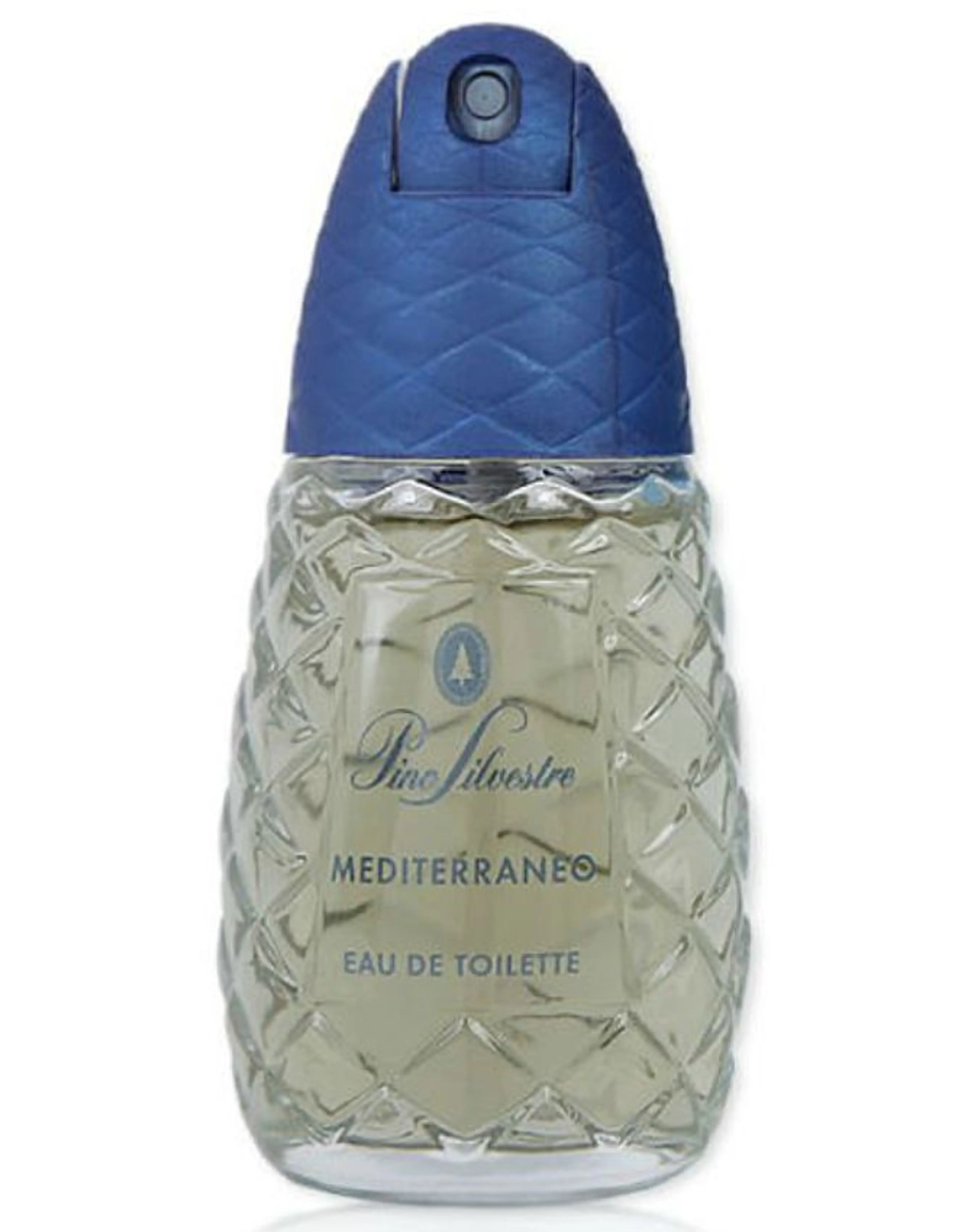 Pino Silvestre Mediterraneo