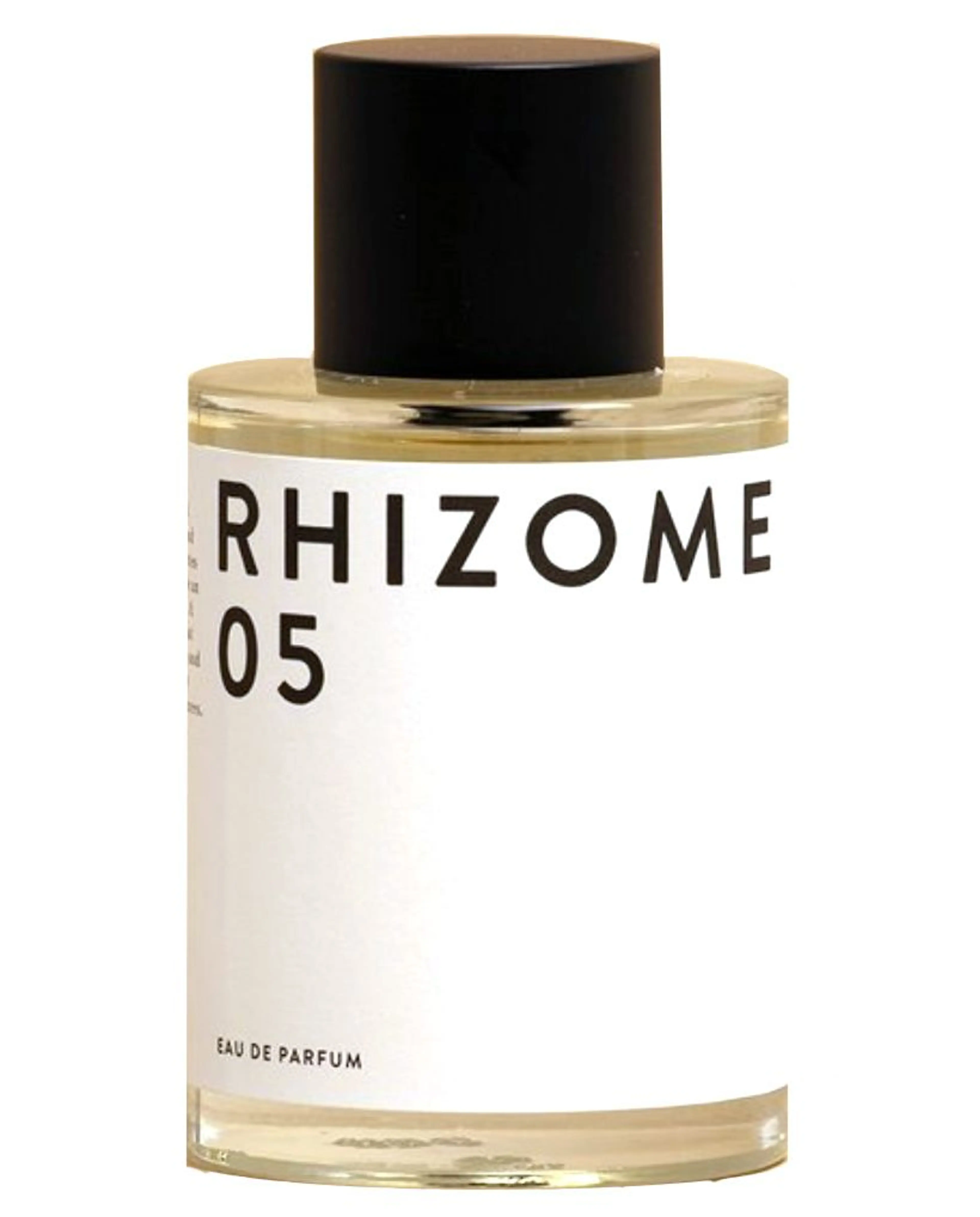 Rhizome 05