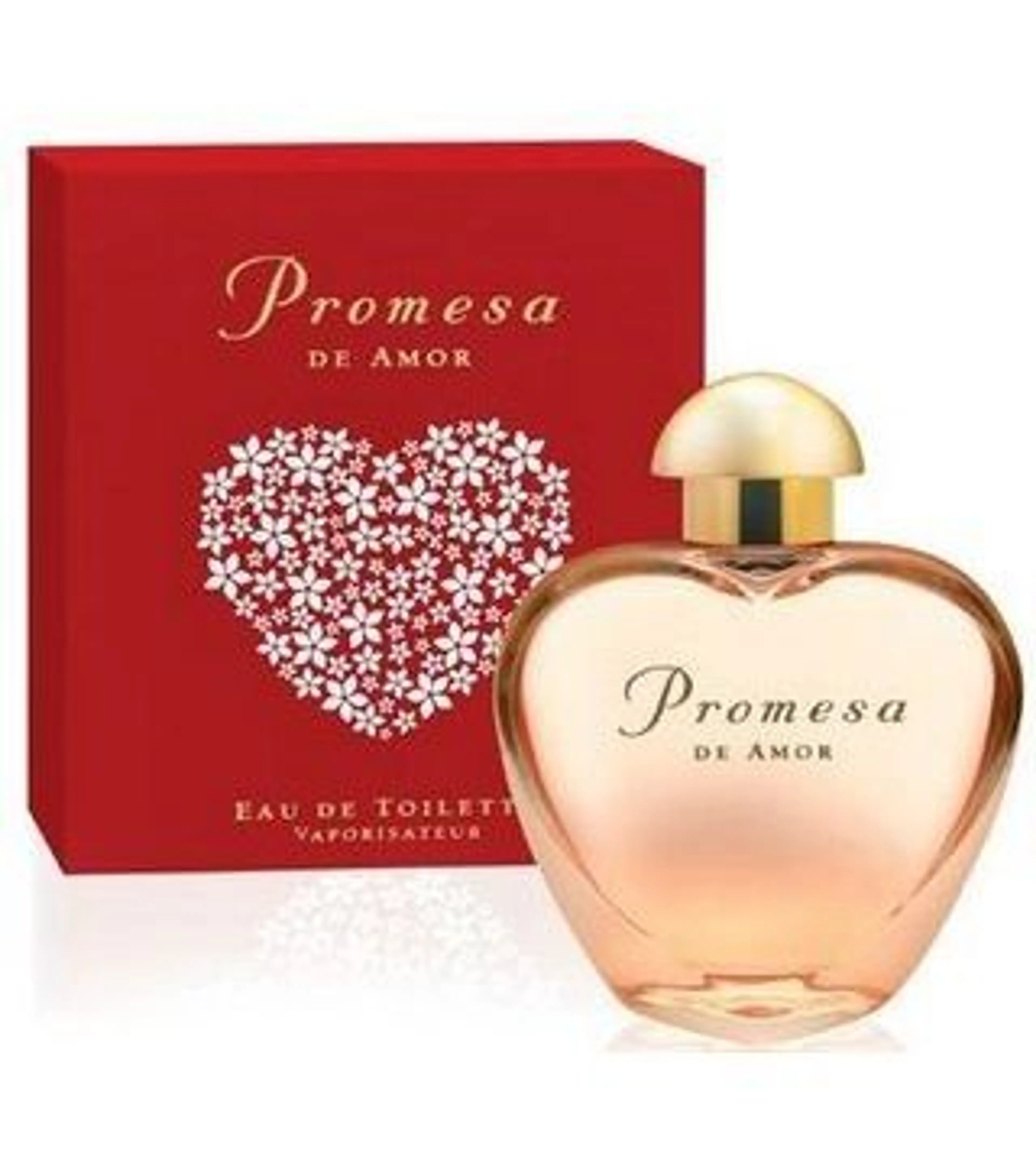 Promesa de Amor