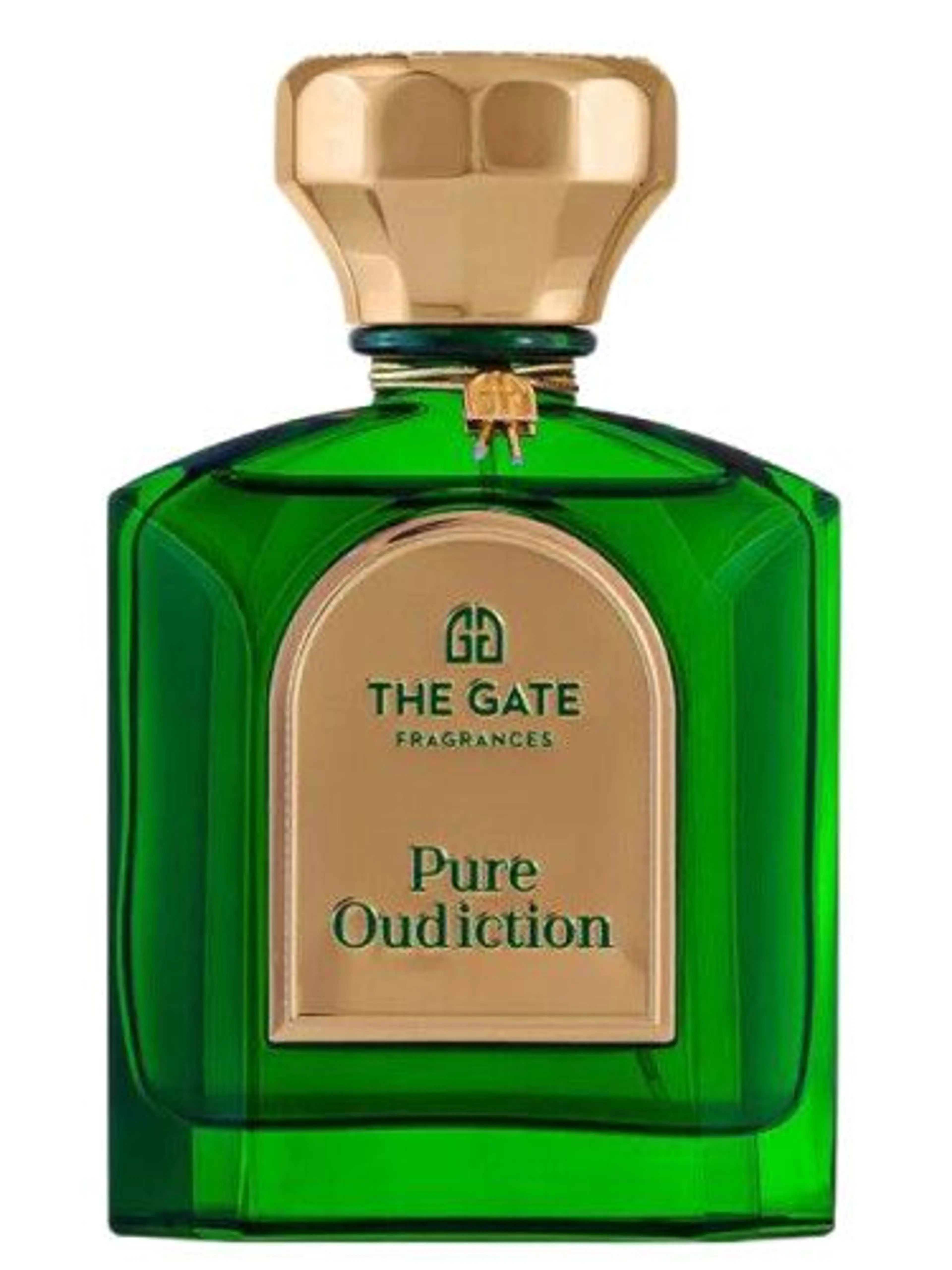 Pure Oudiction Extrait de Parfum