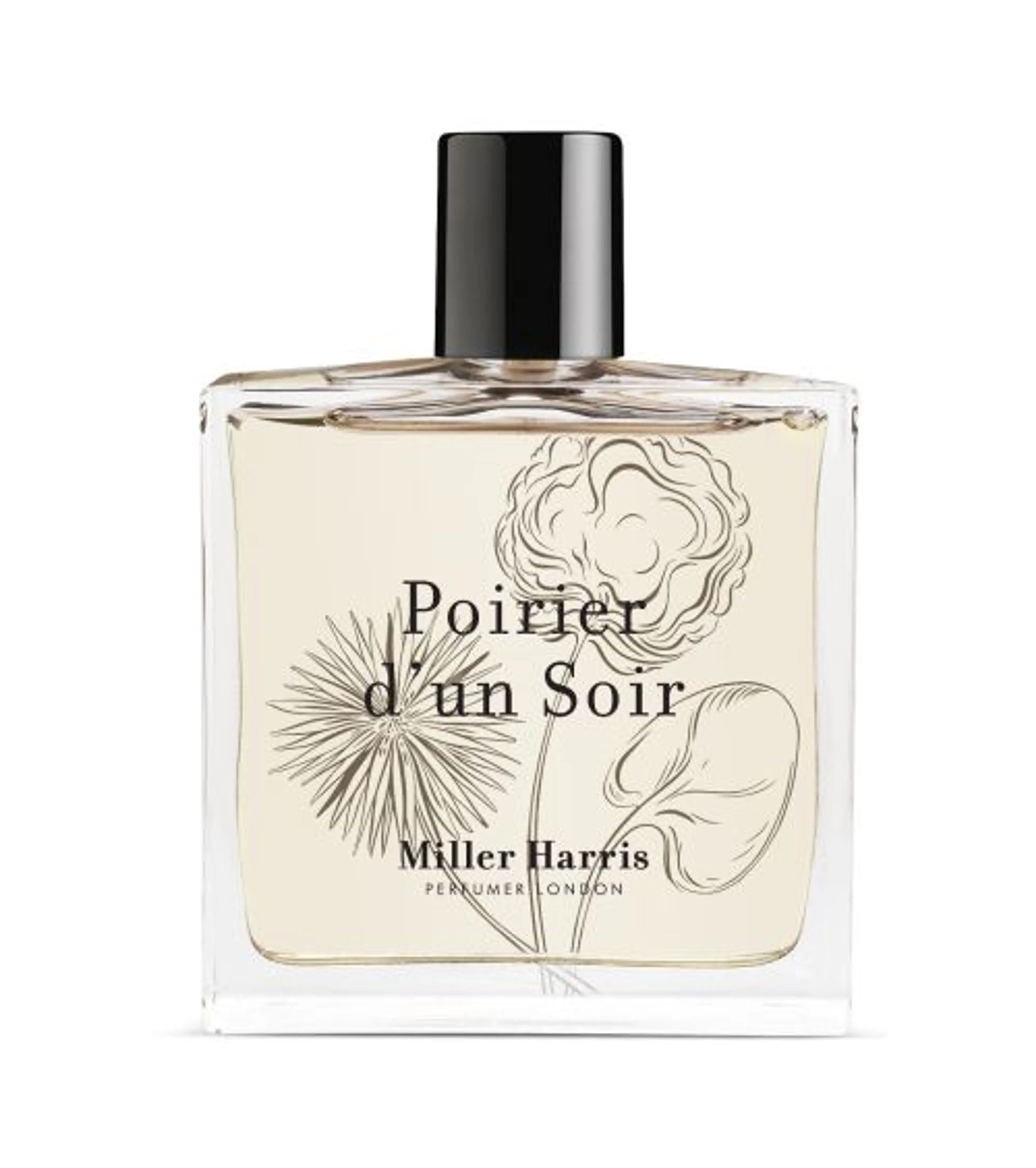 Poirier d'un Soir
