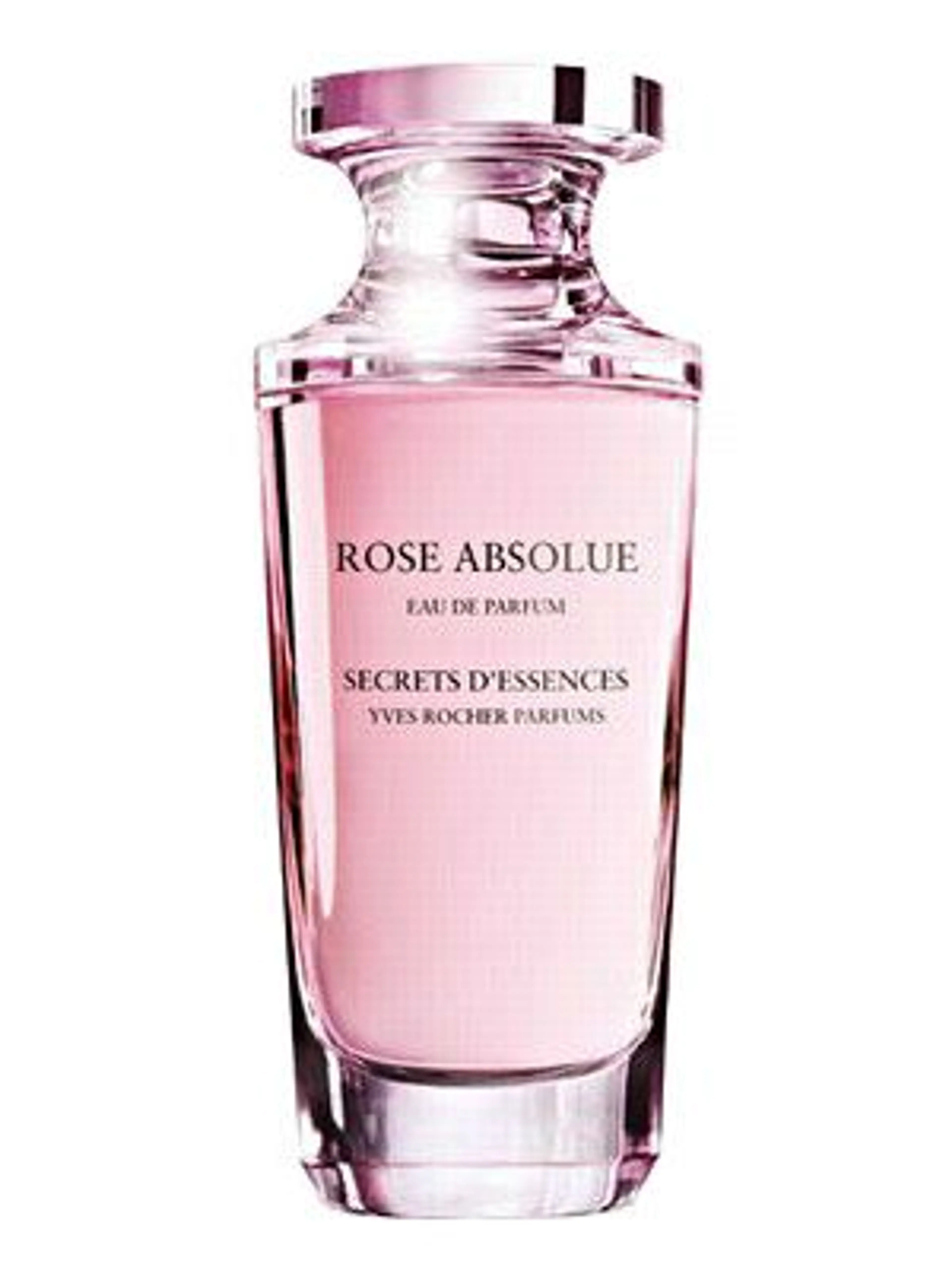 Rose Absolue
