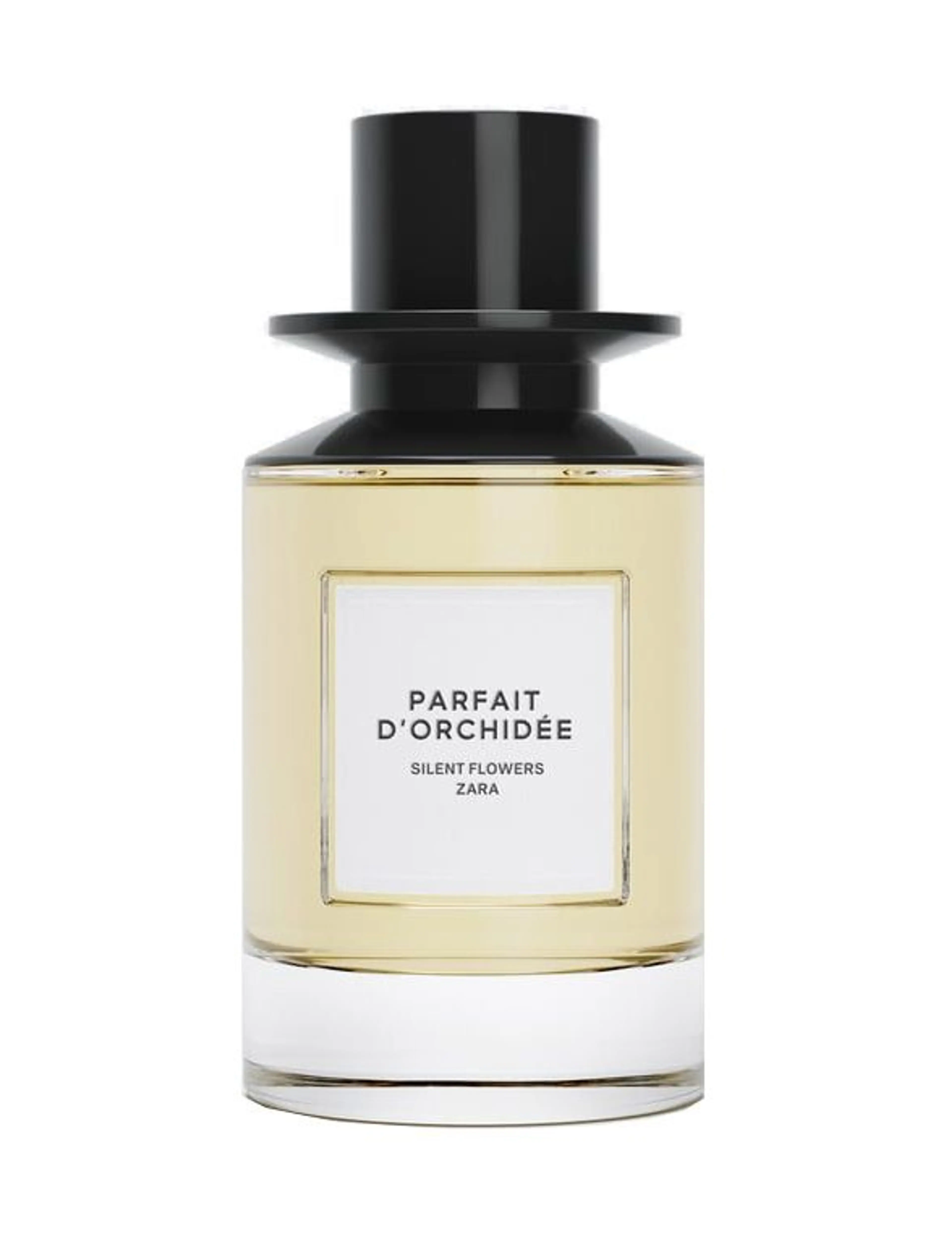 Parfait d'Orchidee