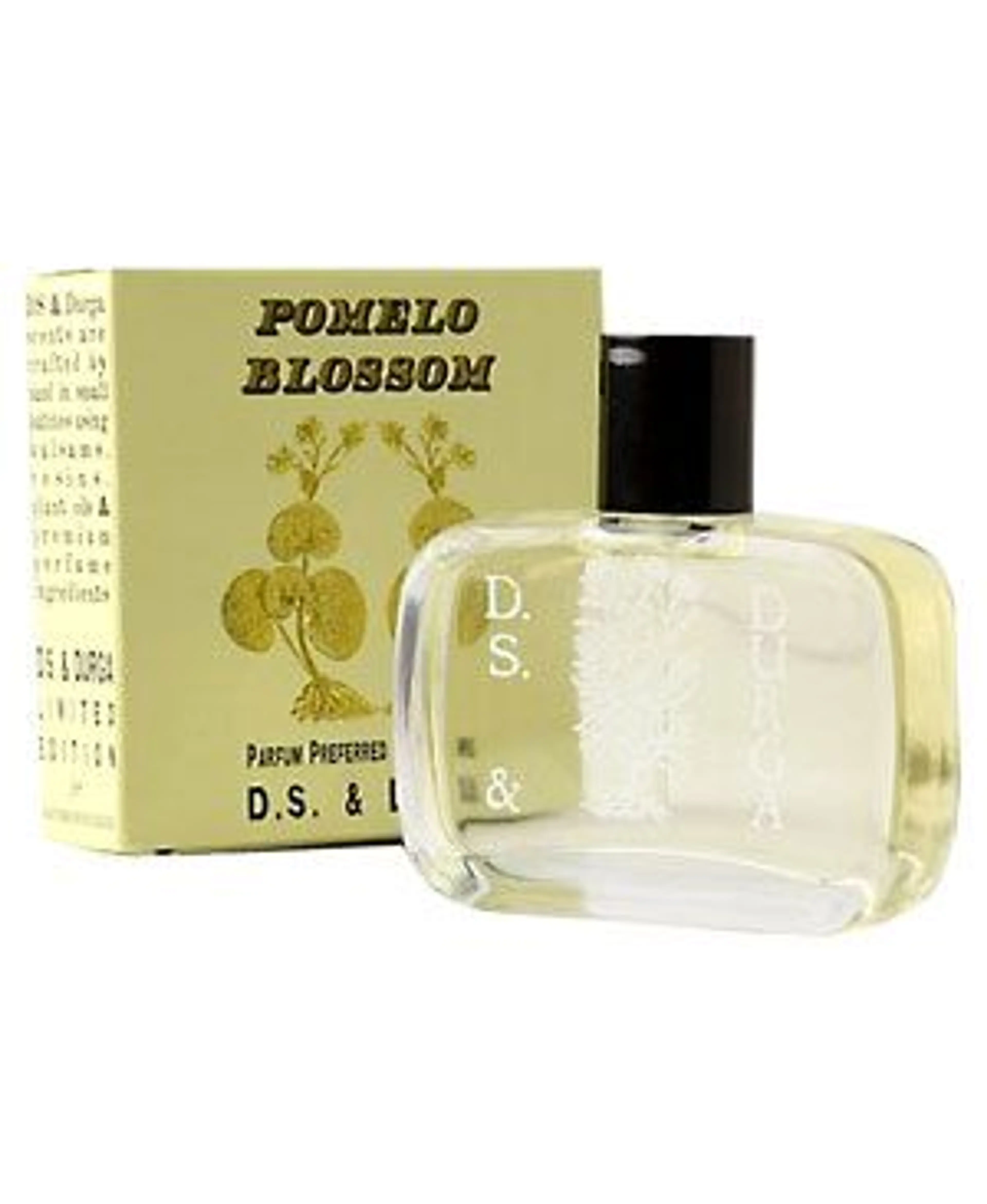Pomelo Blossom