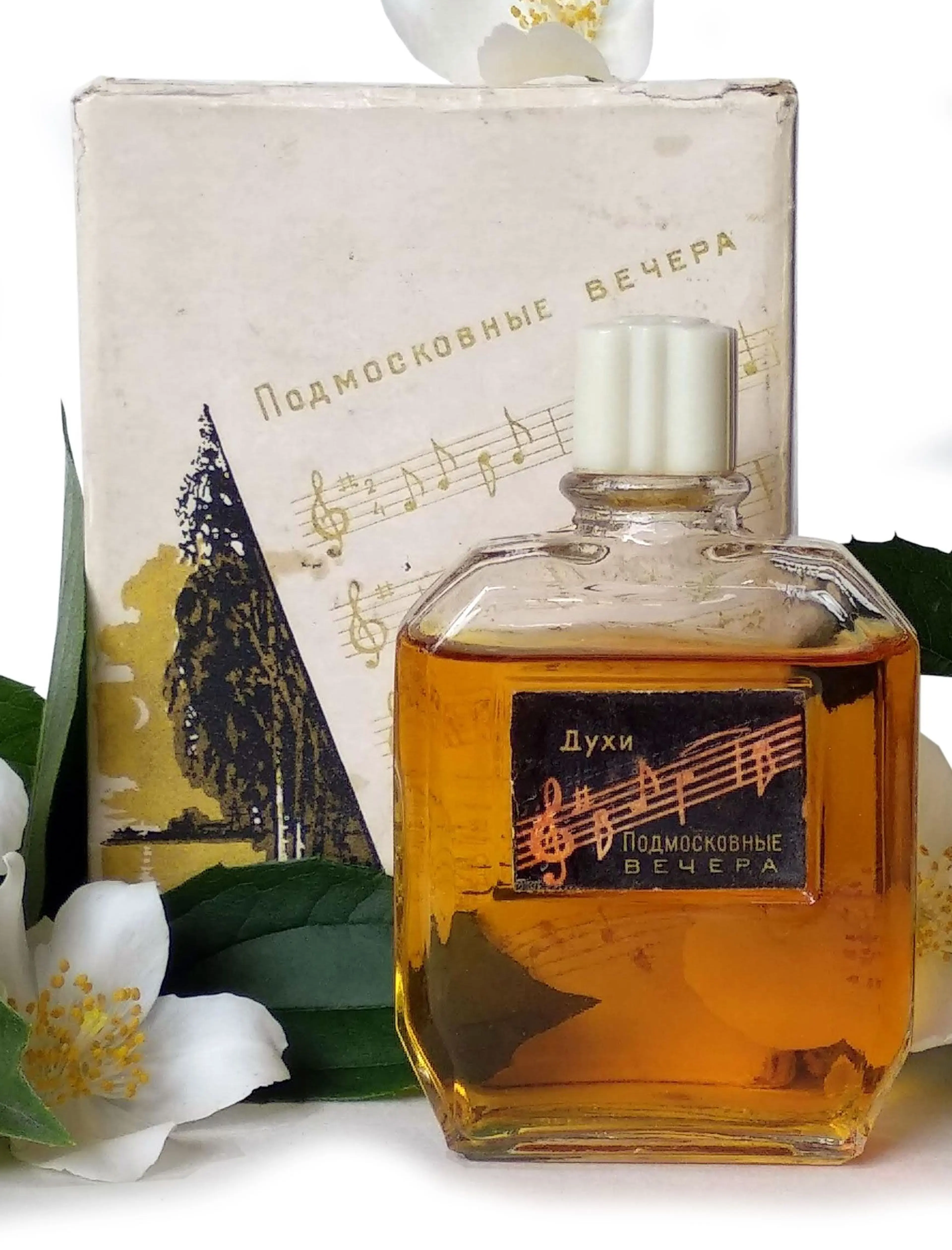 Подмосковные вечера (Podmoskovnye vechera)
