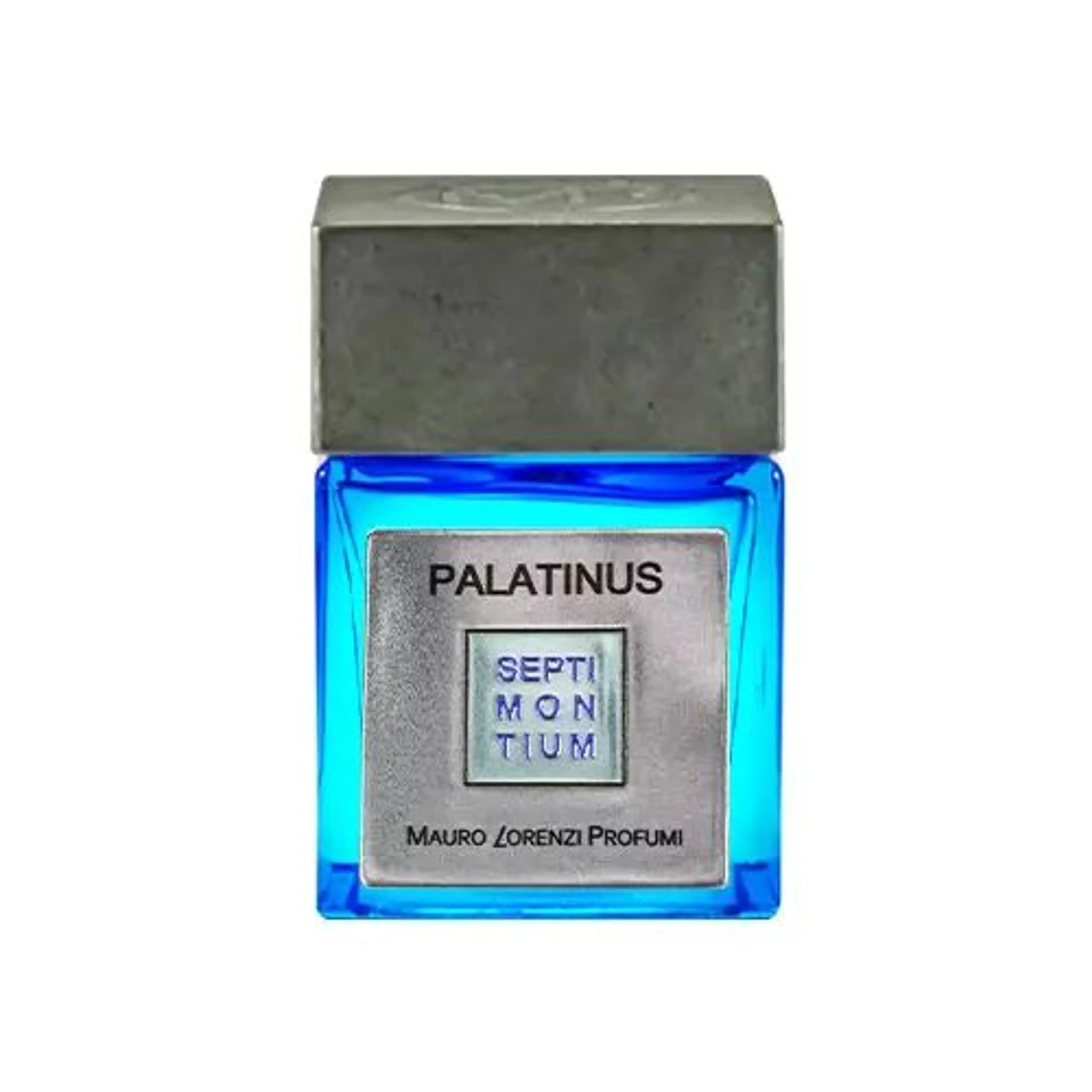 Palatinus