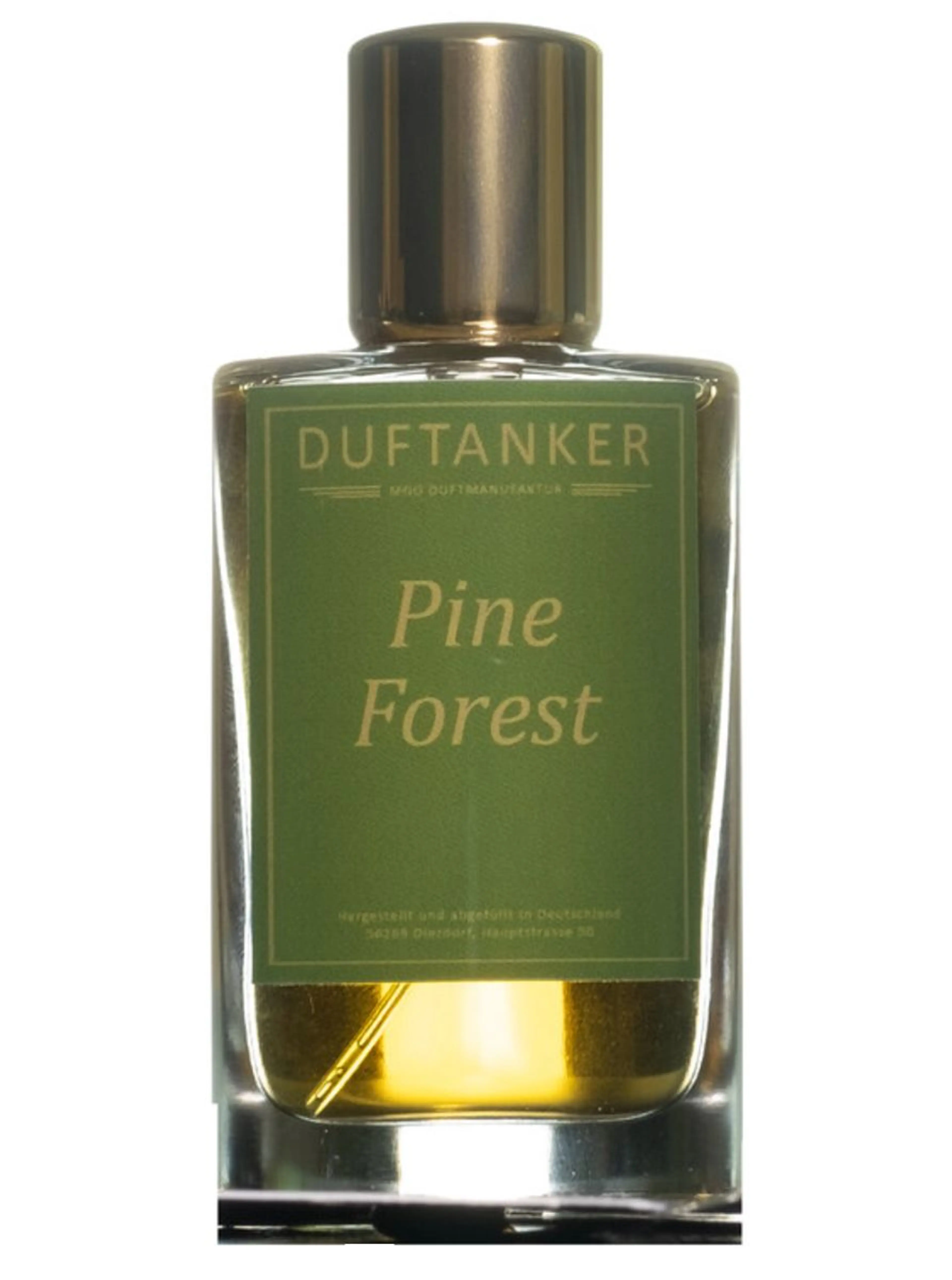 Pine Forest
