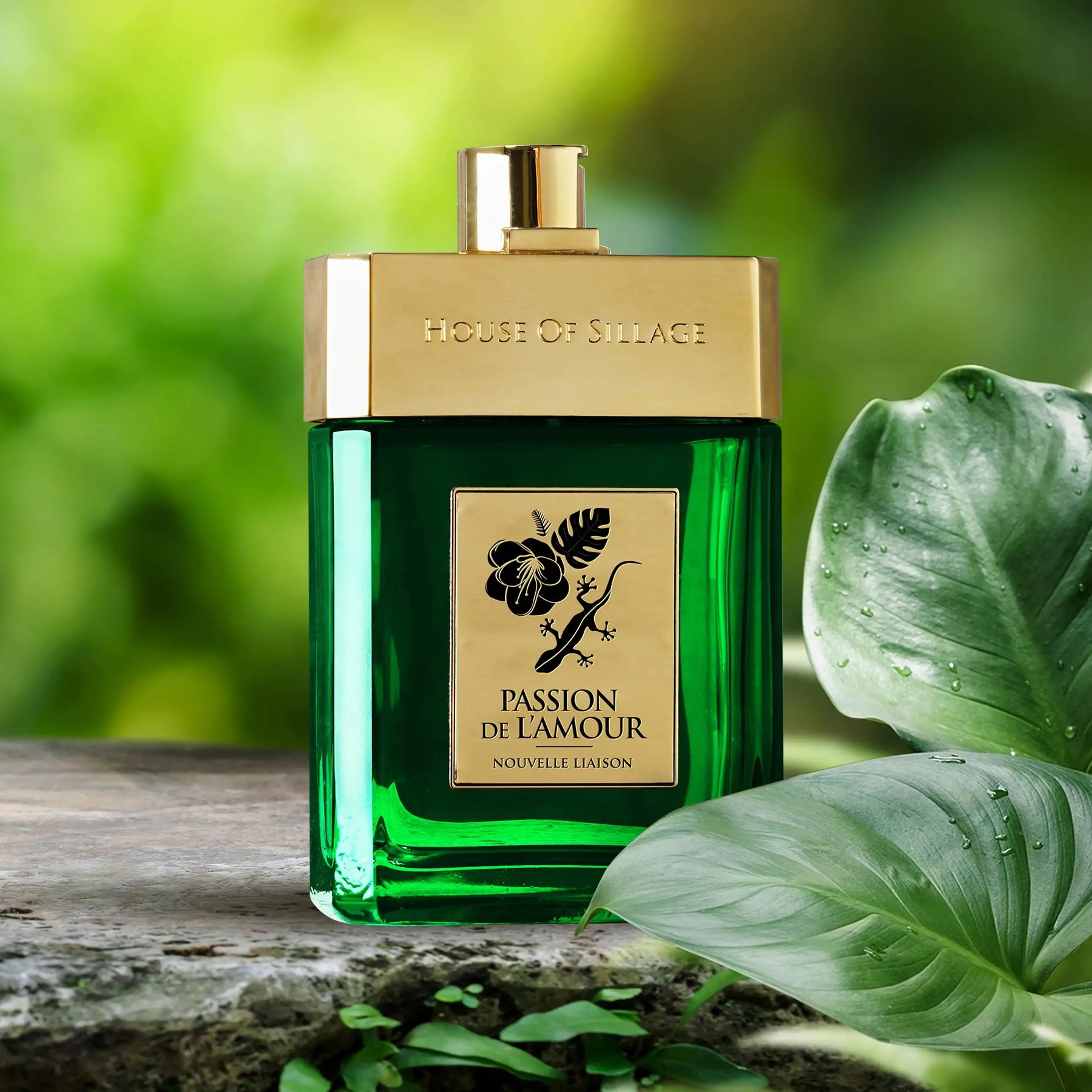 Passion De L'Amour Nouvelle Liaison Parfum
