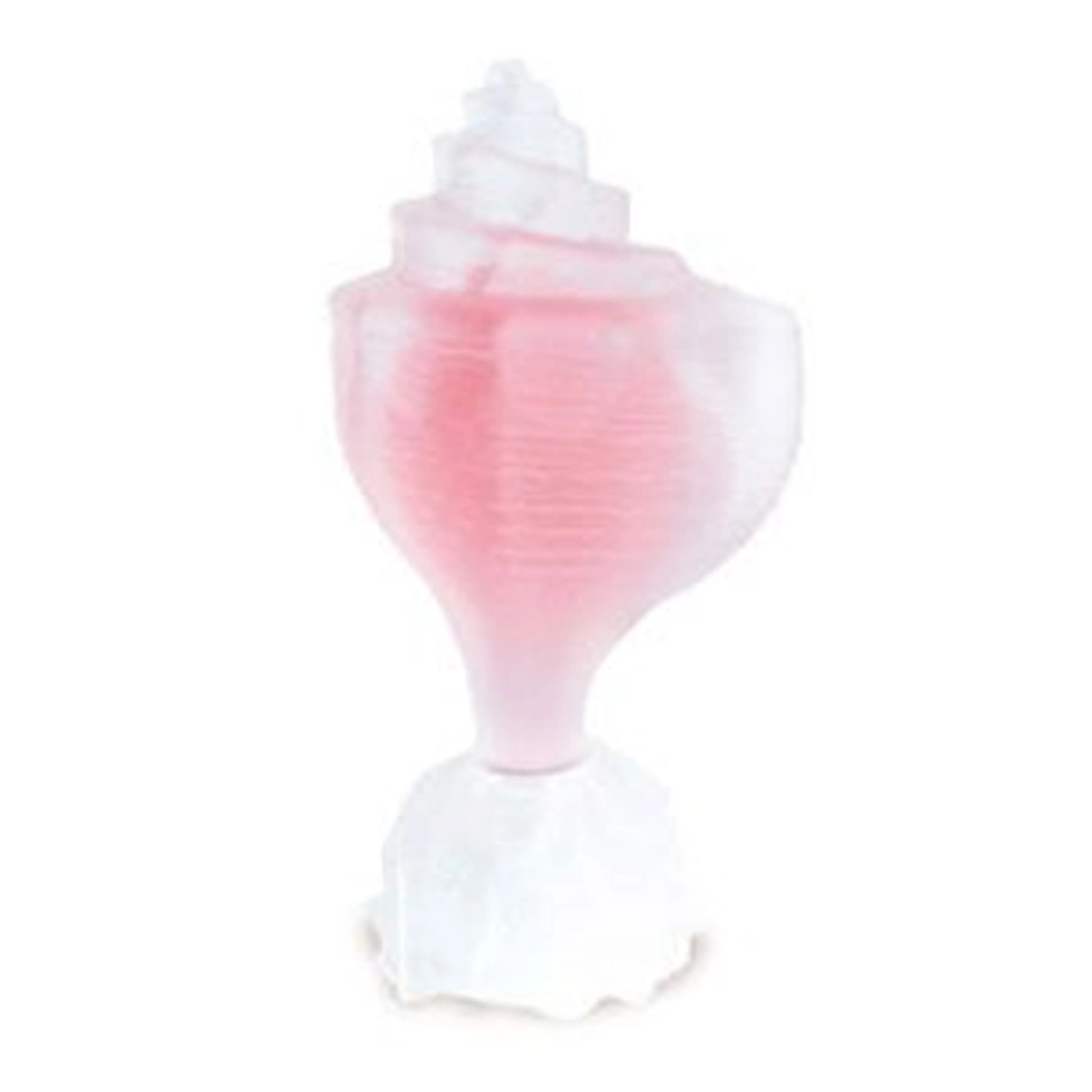 Pink Conch