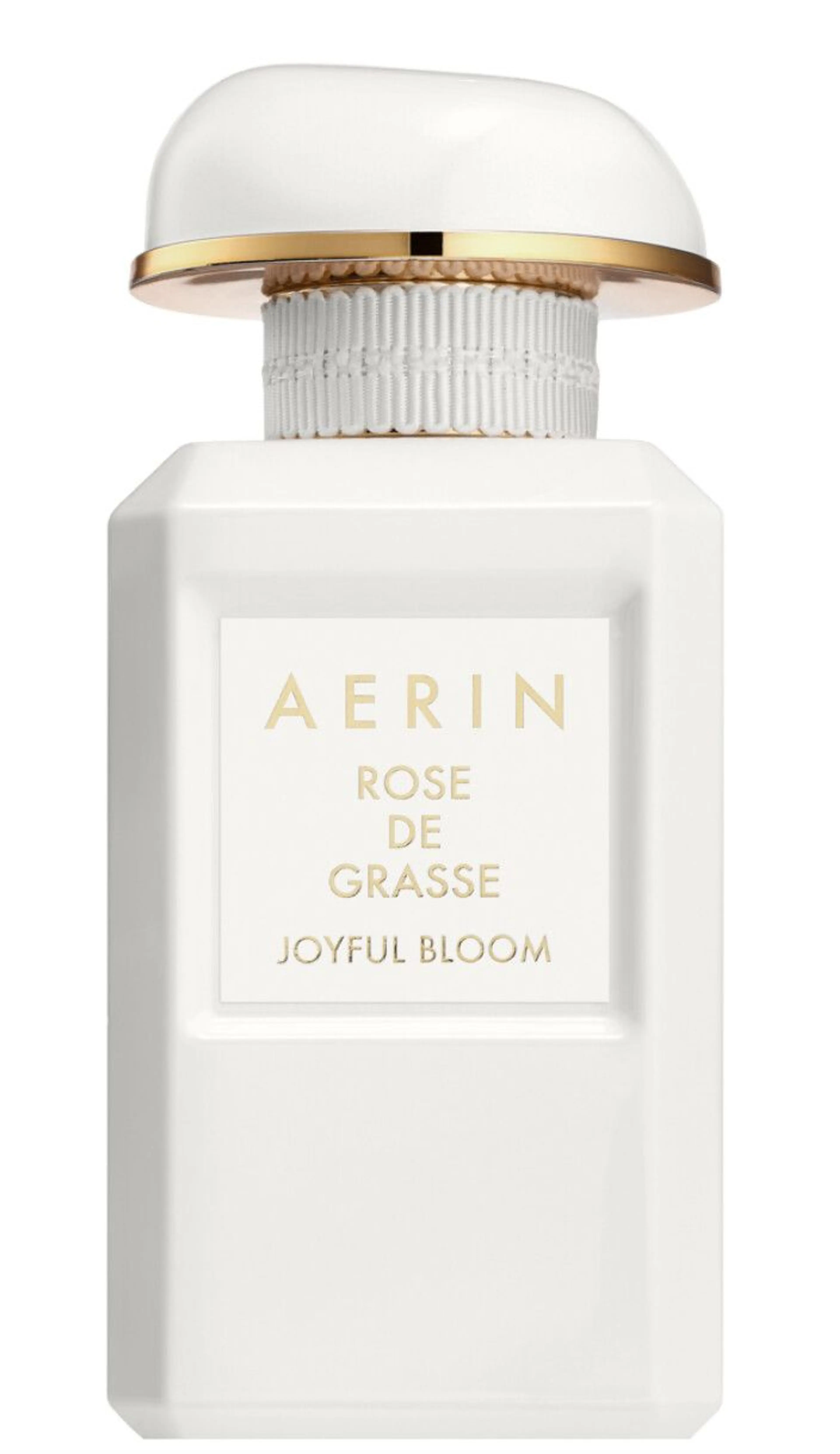 Rose de Grasse Joyful Bloom
