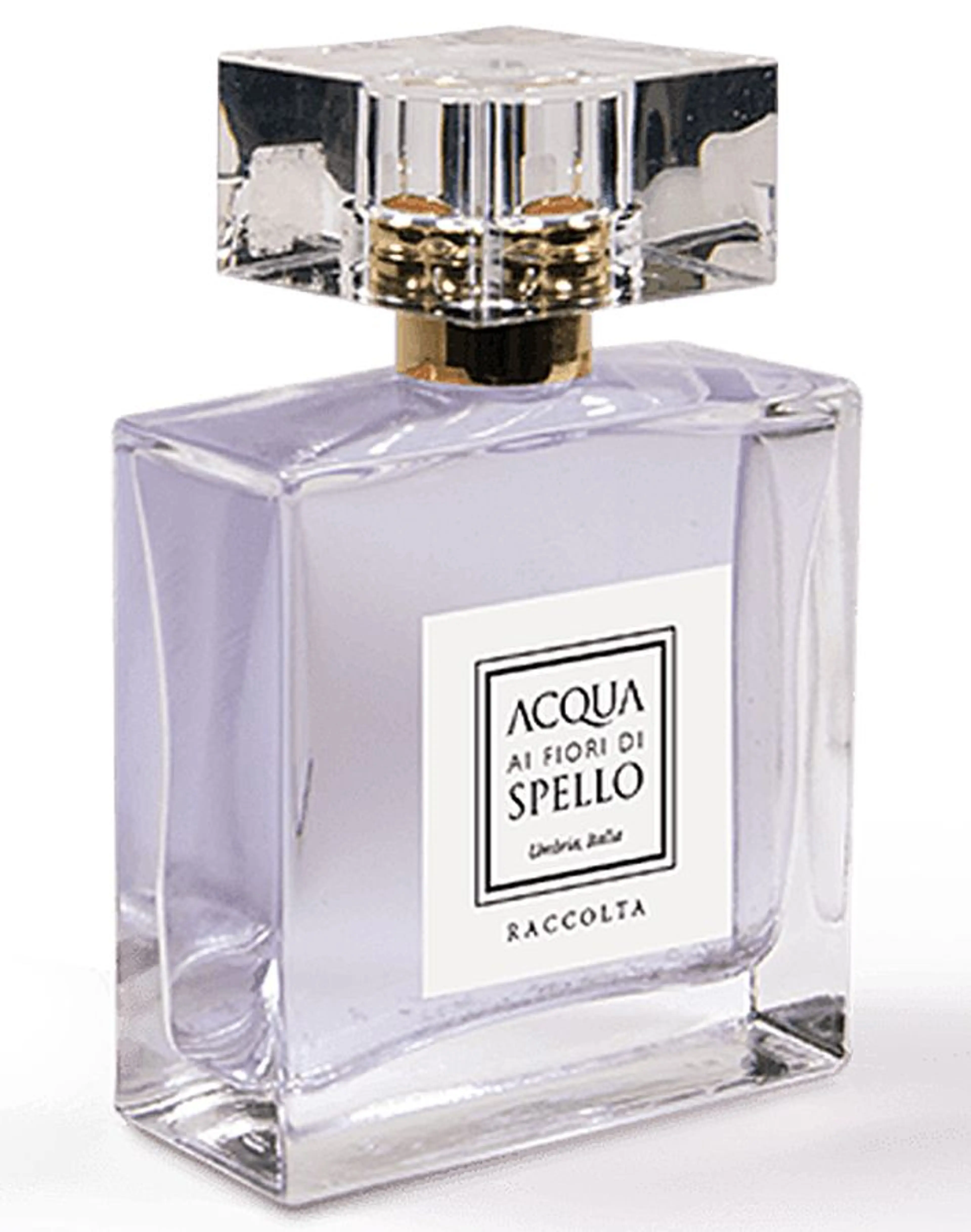 Raccolta