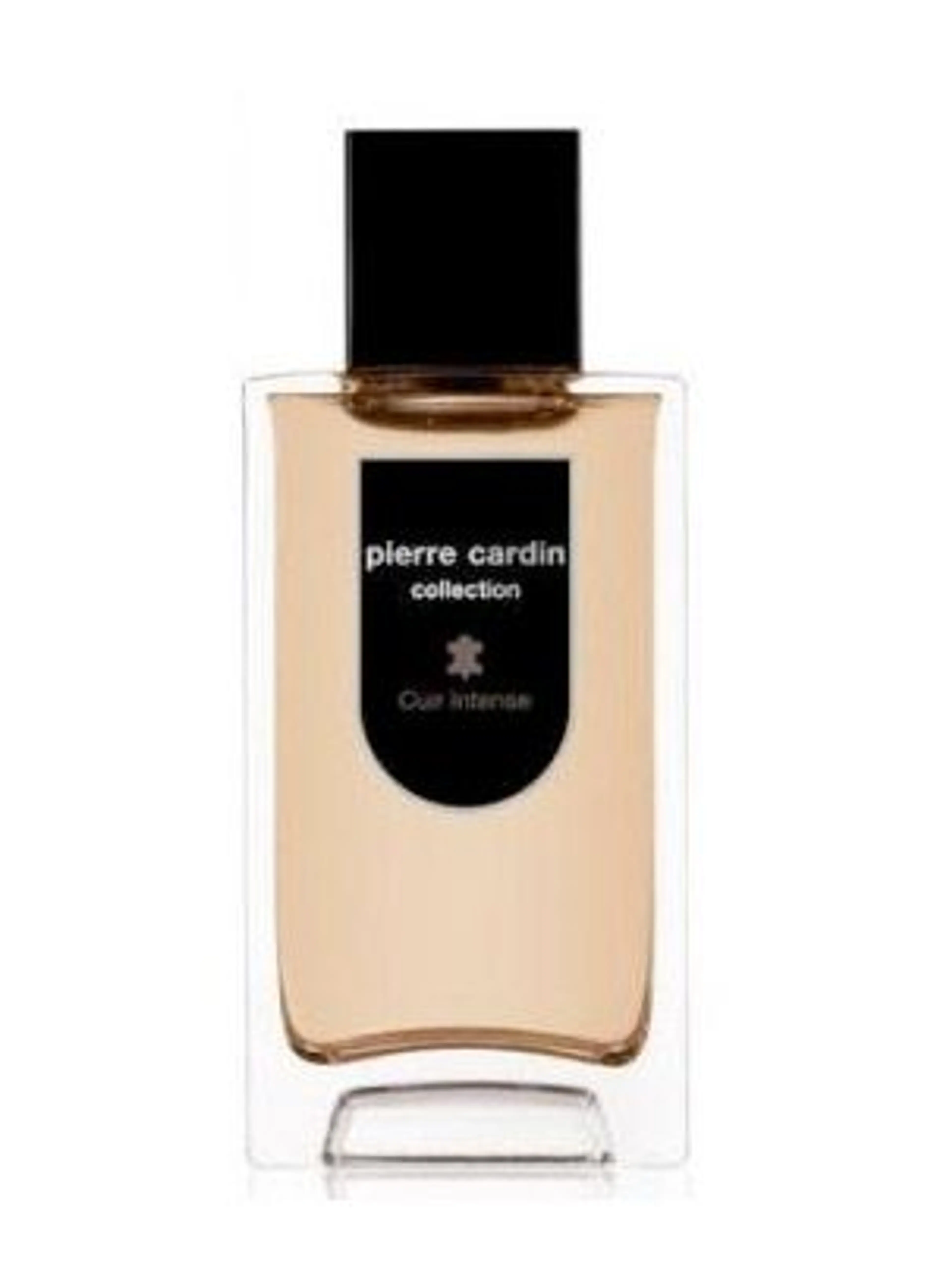 Pierre Cardin Collection Cuir Intense