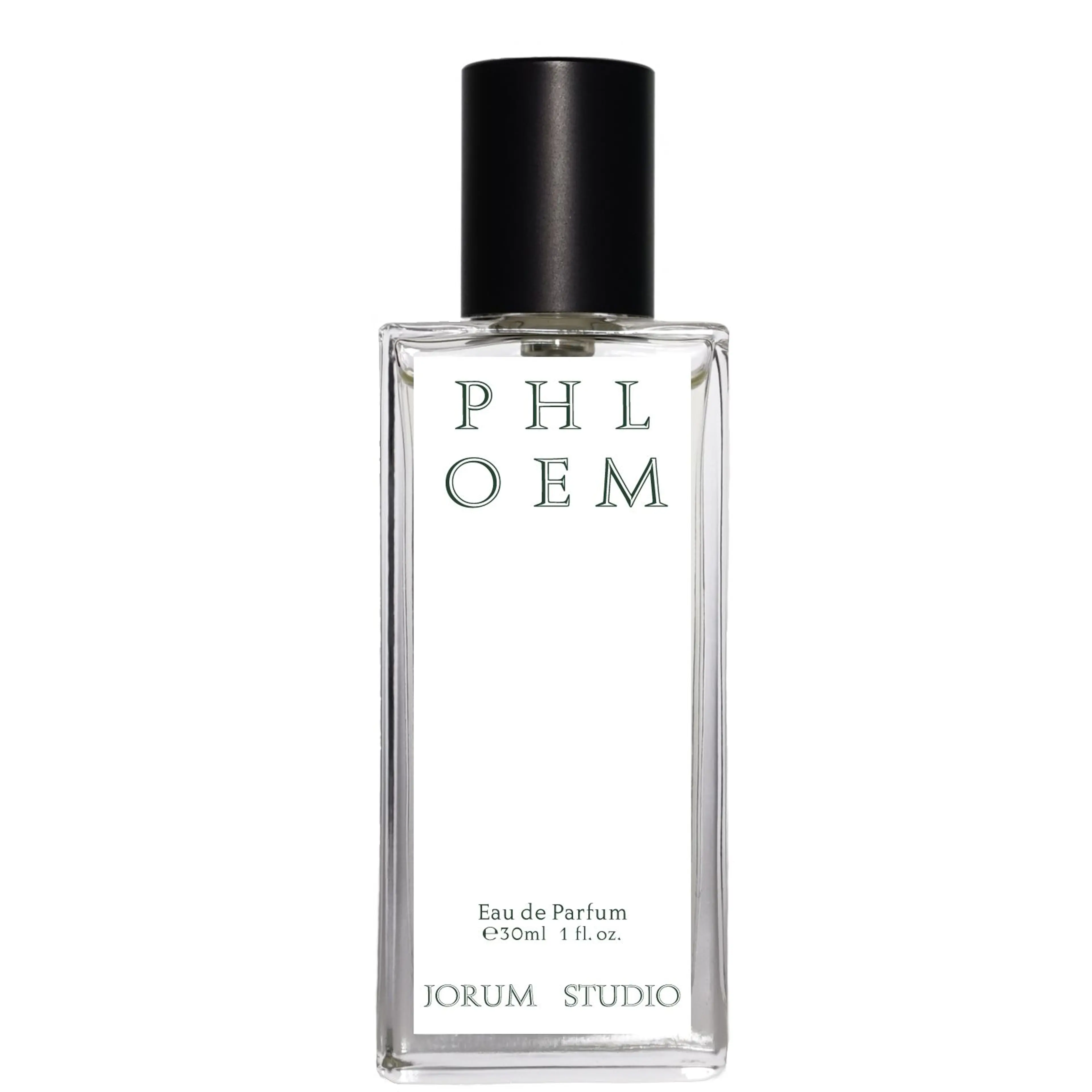 Phloem