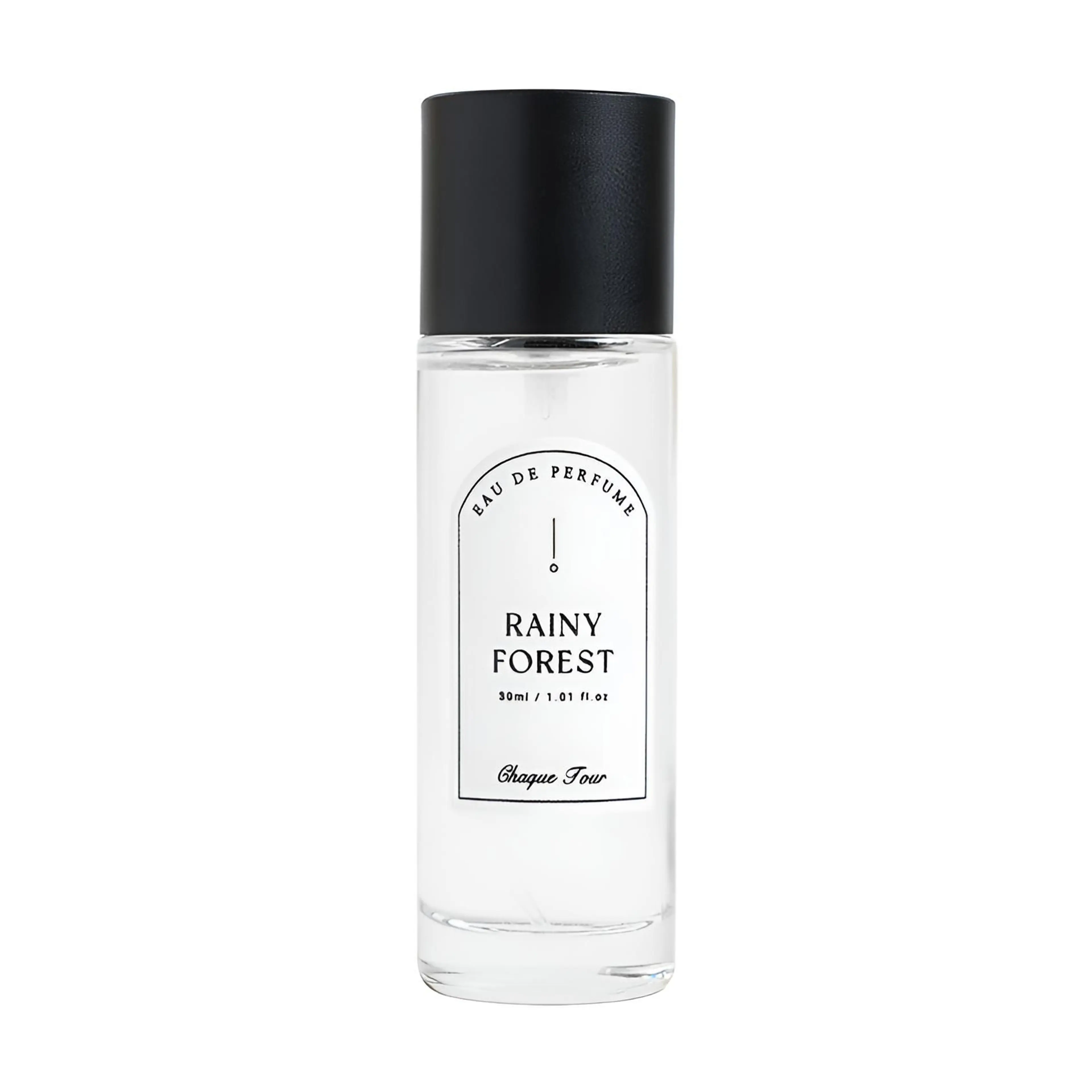 Rainy Forest