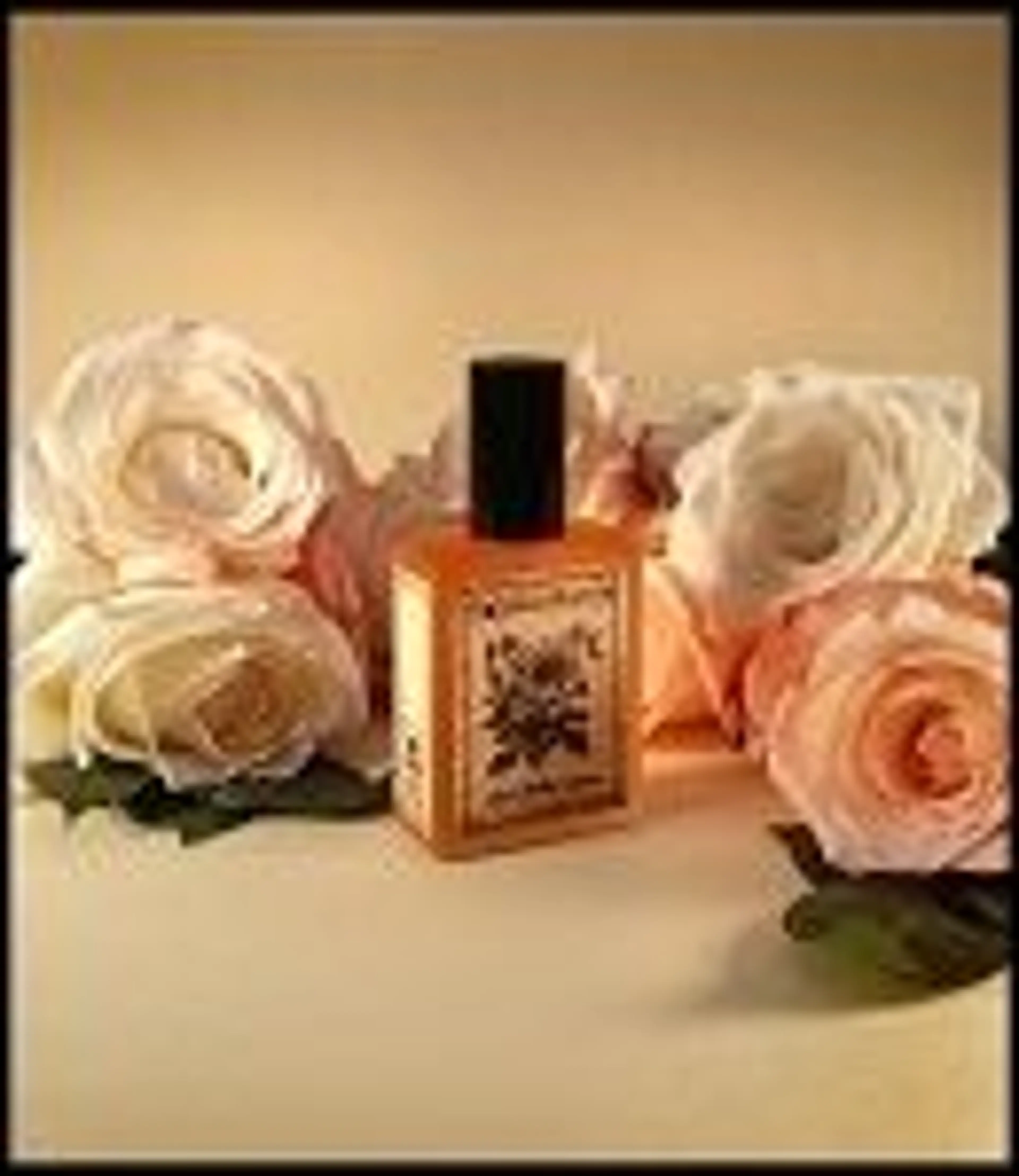Rose Mallow Cream