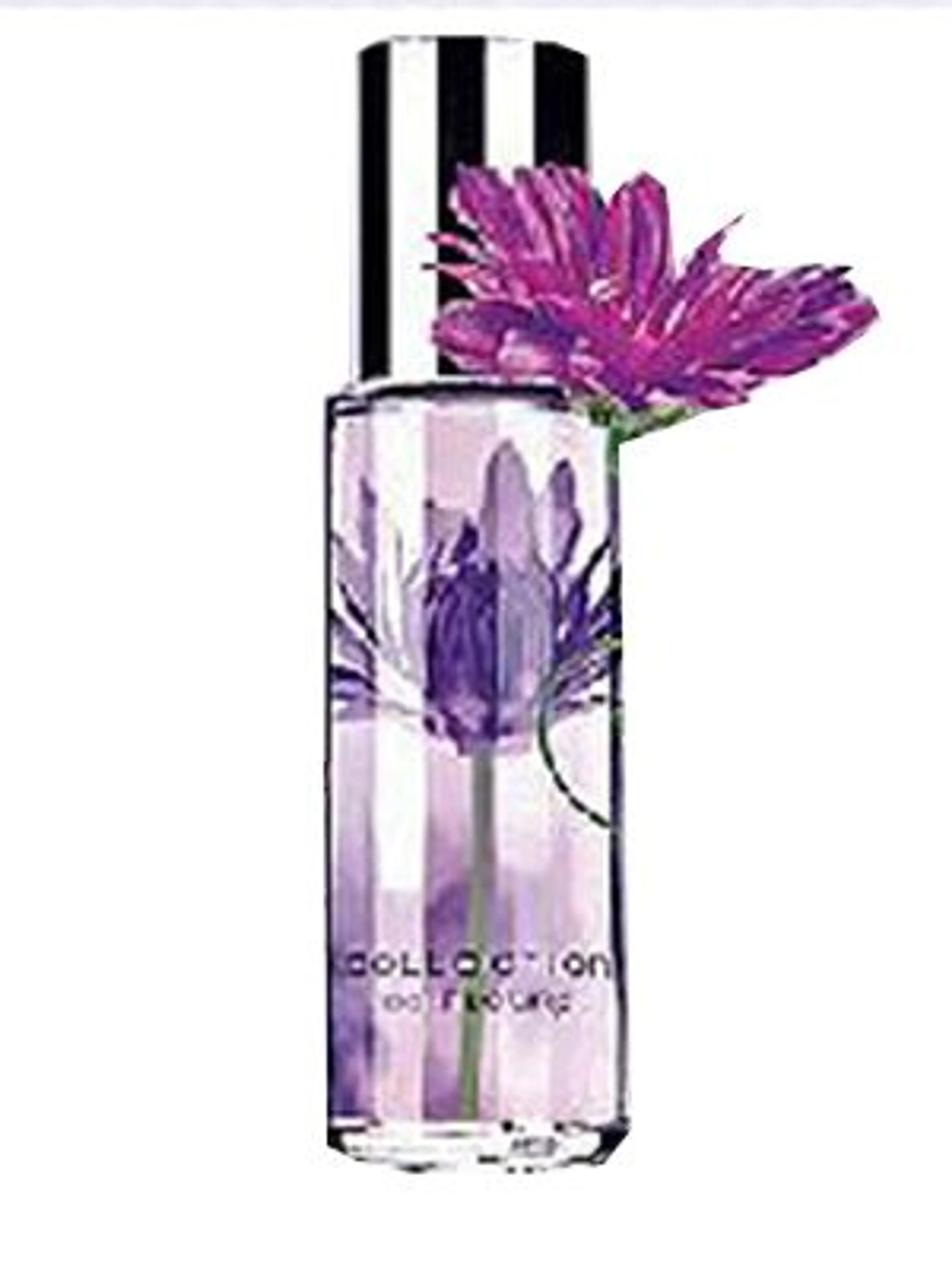 Passionate Purple