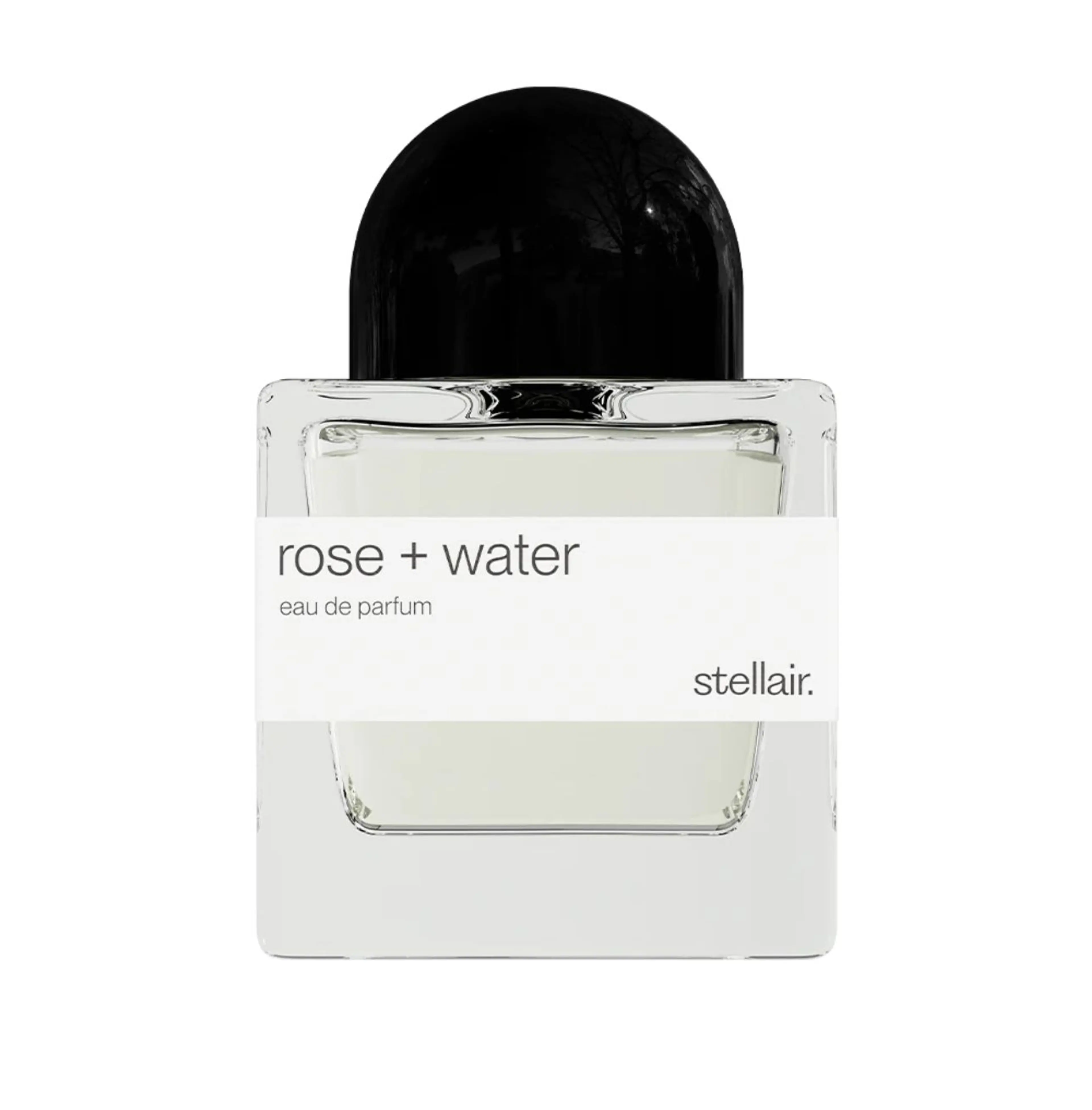 Rose + Water