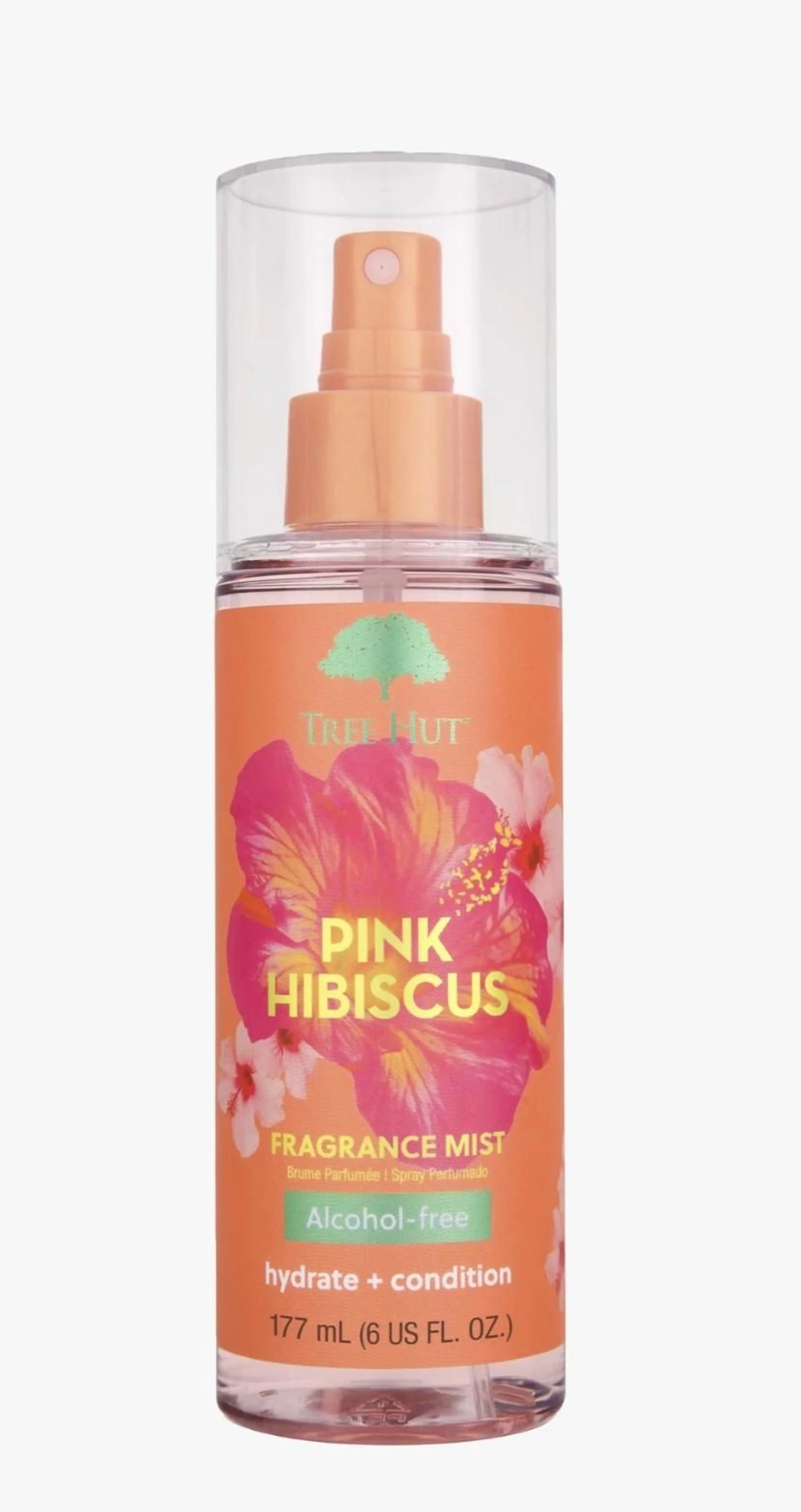Pink Hibiscus