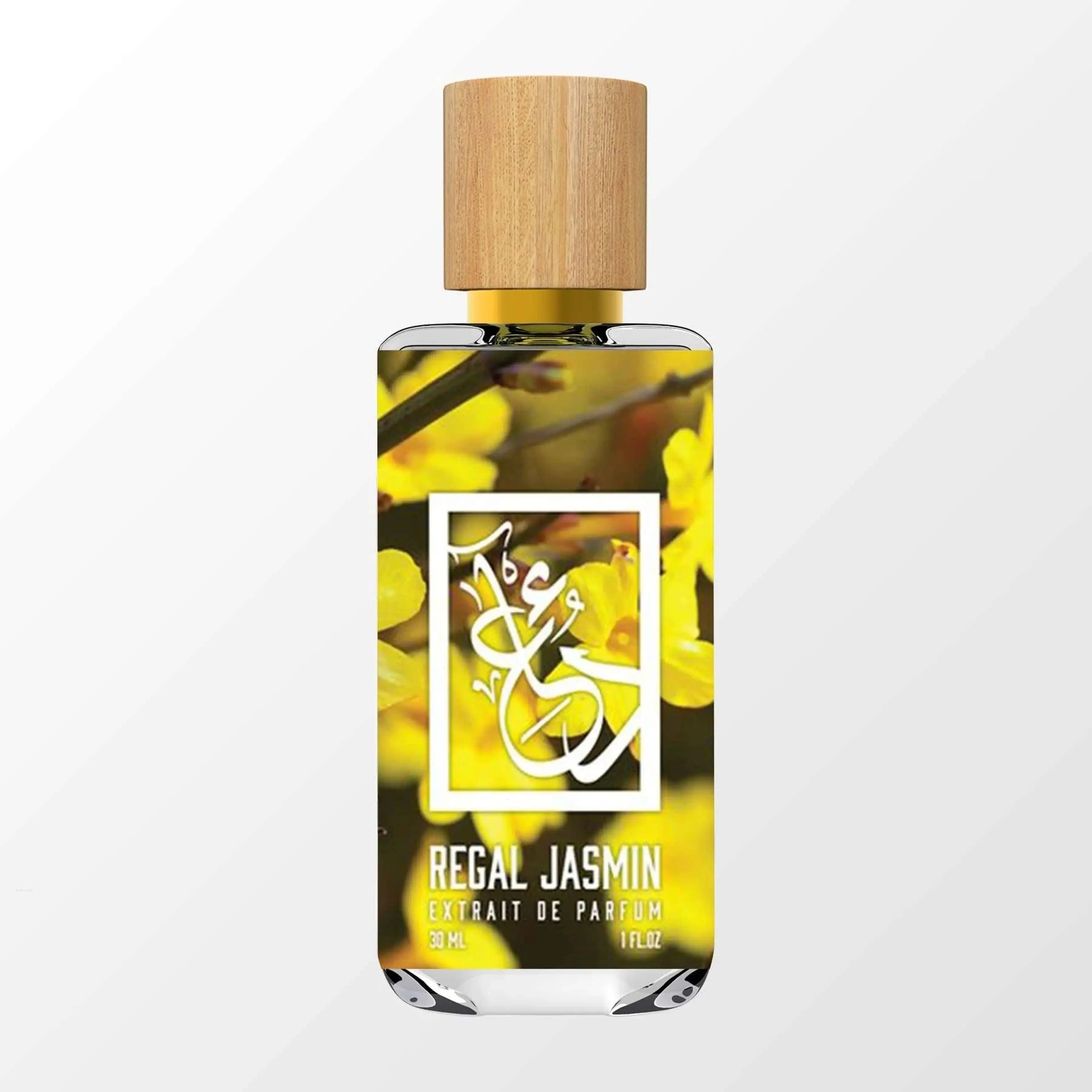 Regal Jasmine