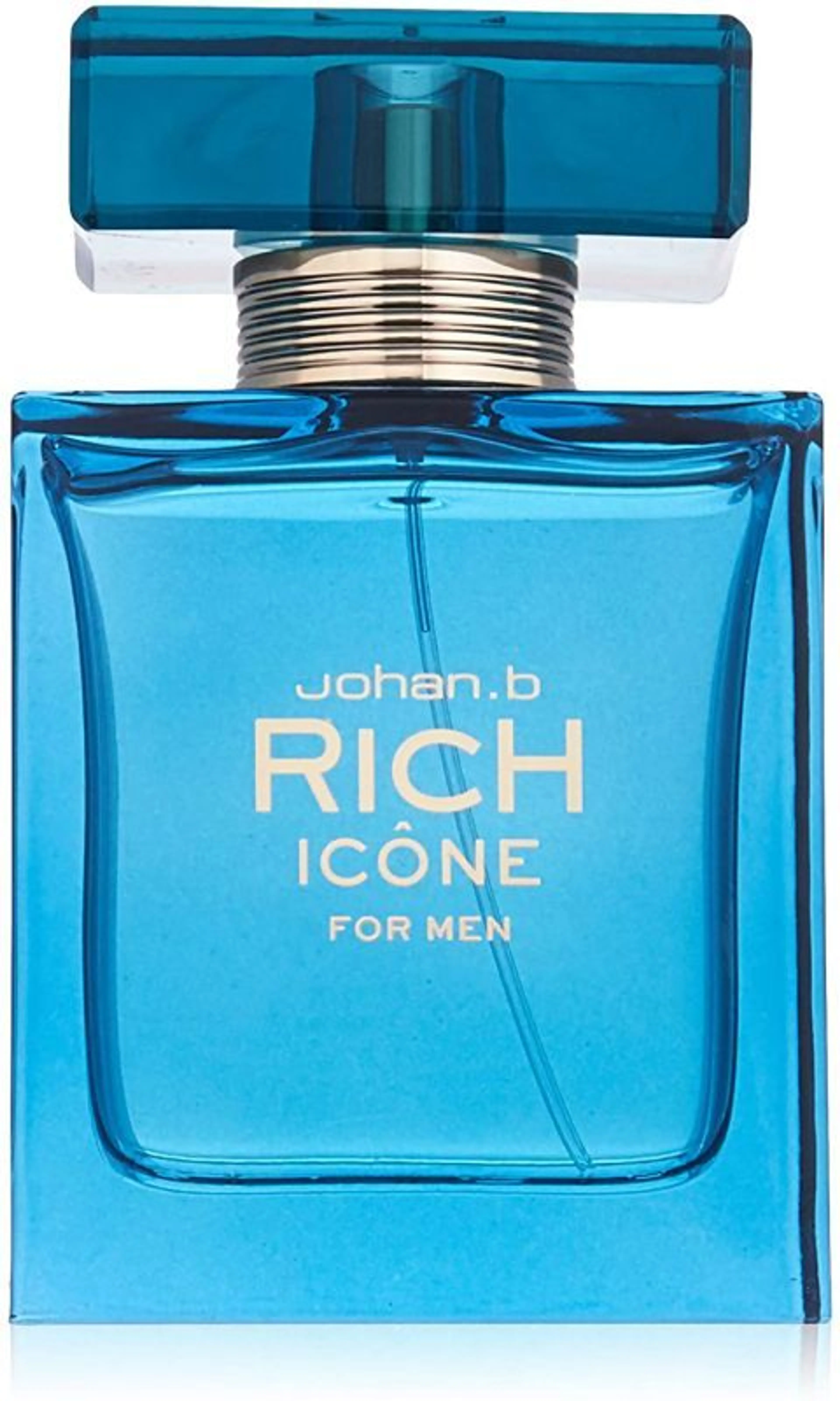 Rich Icône