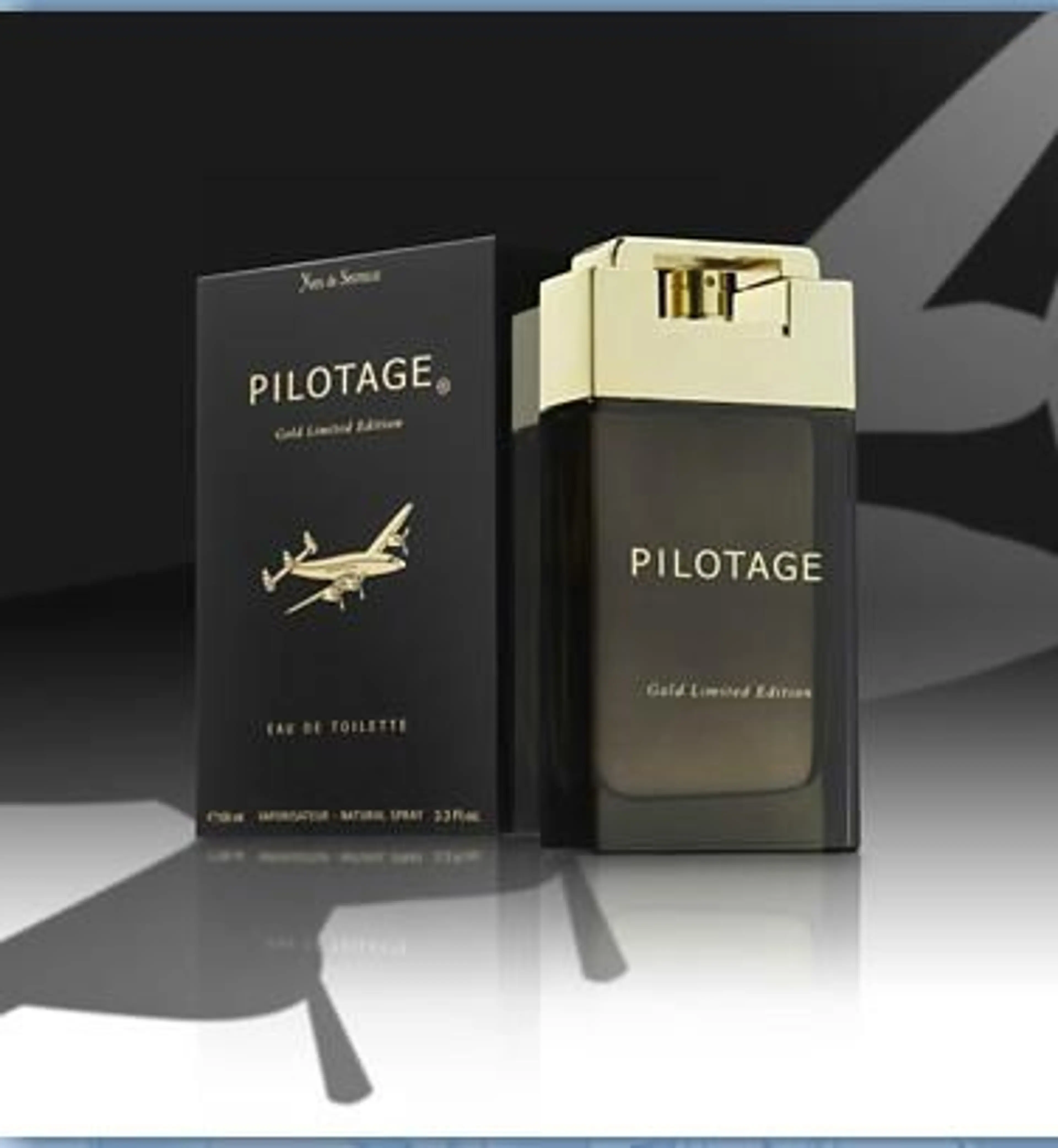 Pilotage