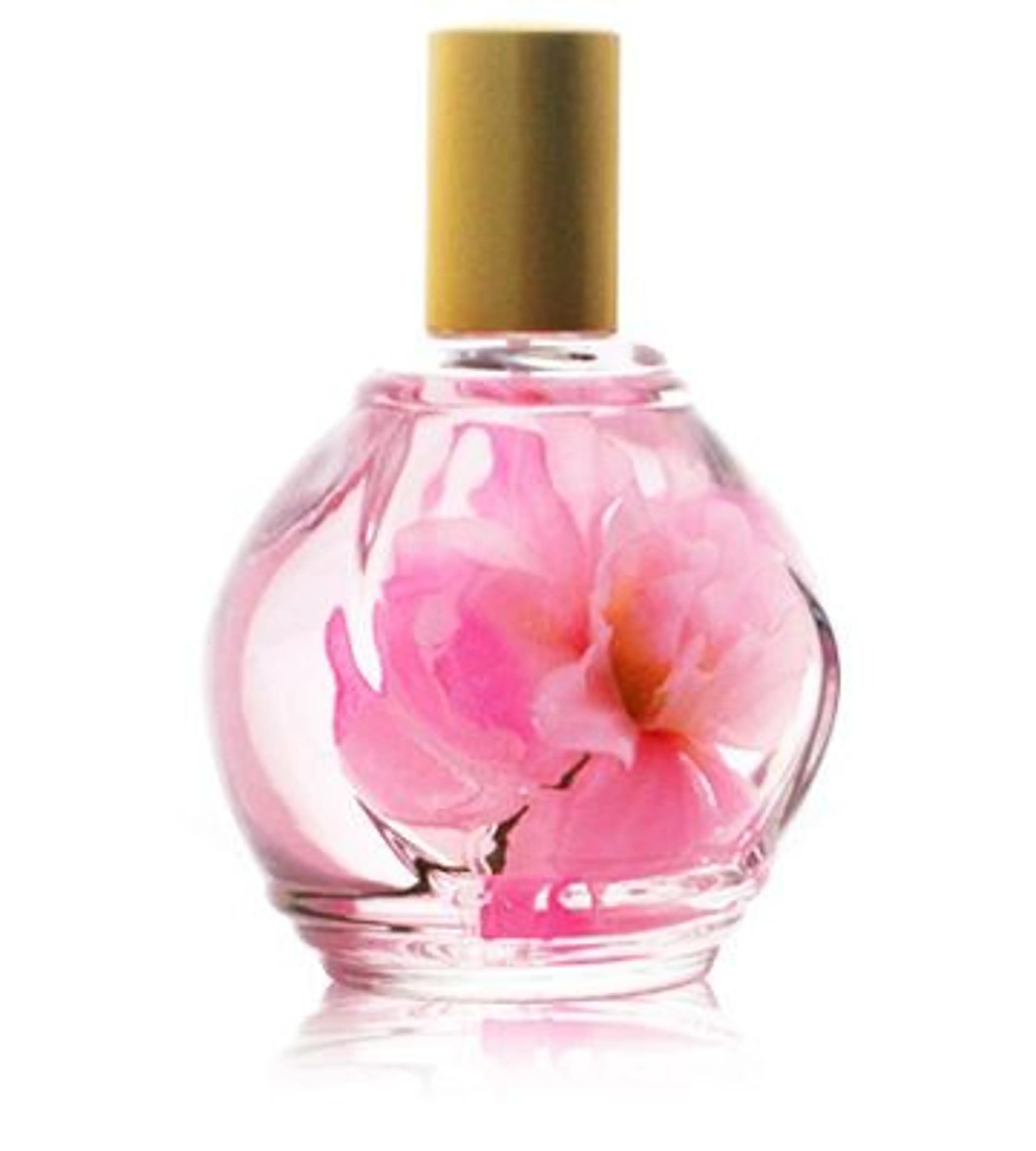 Parfum d'Ambiance Rose
