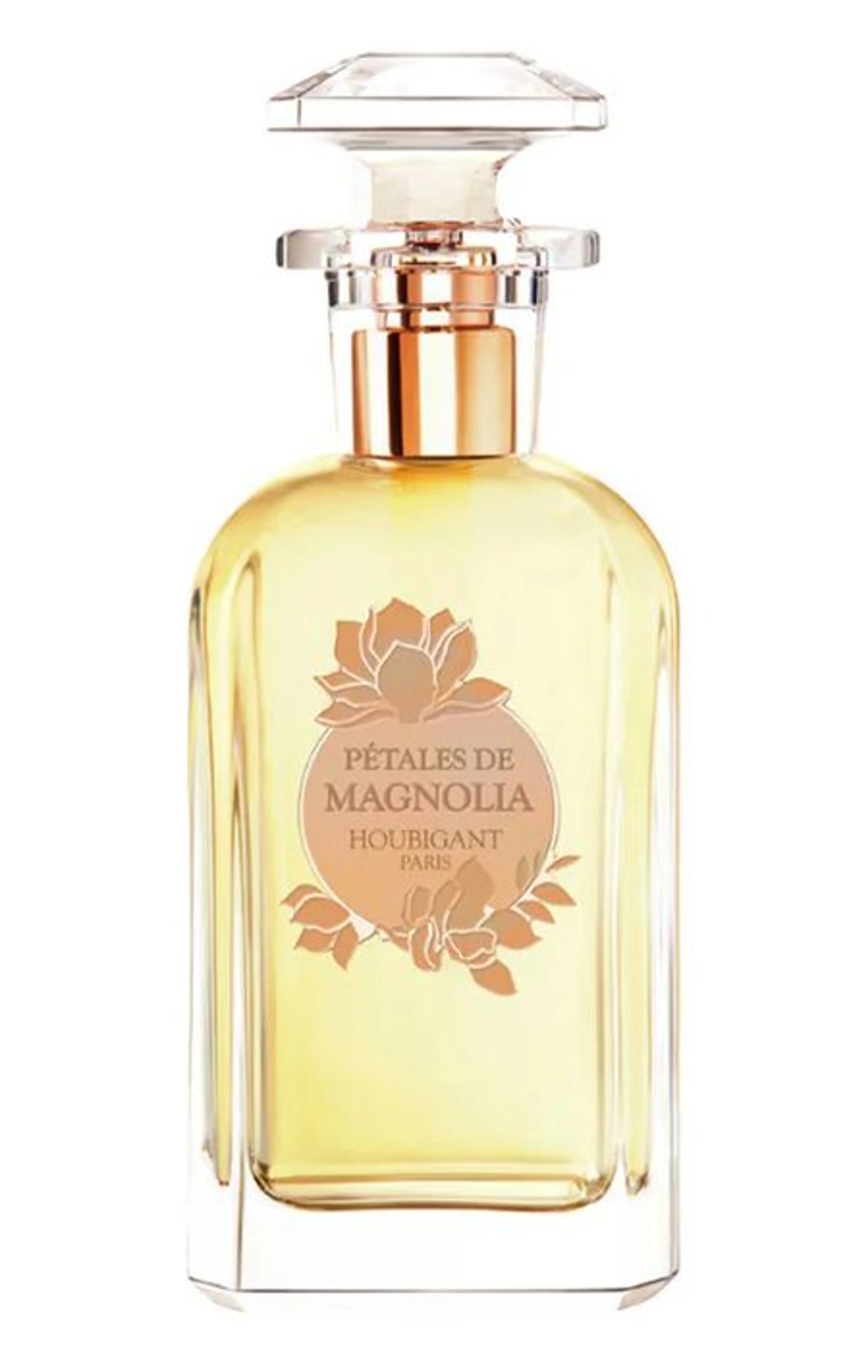 Pétales de Magnolia