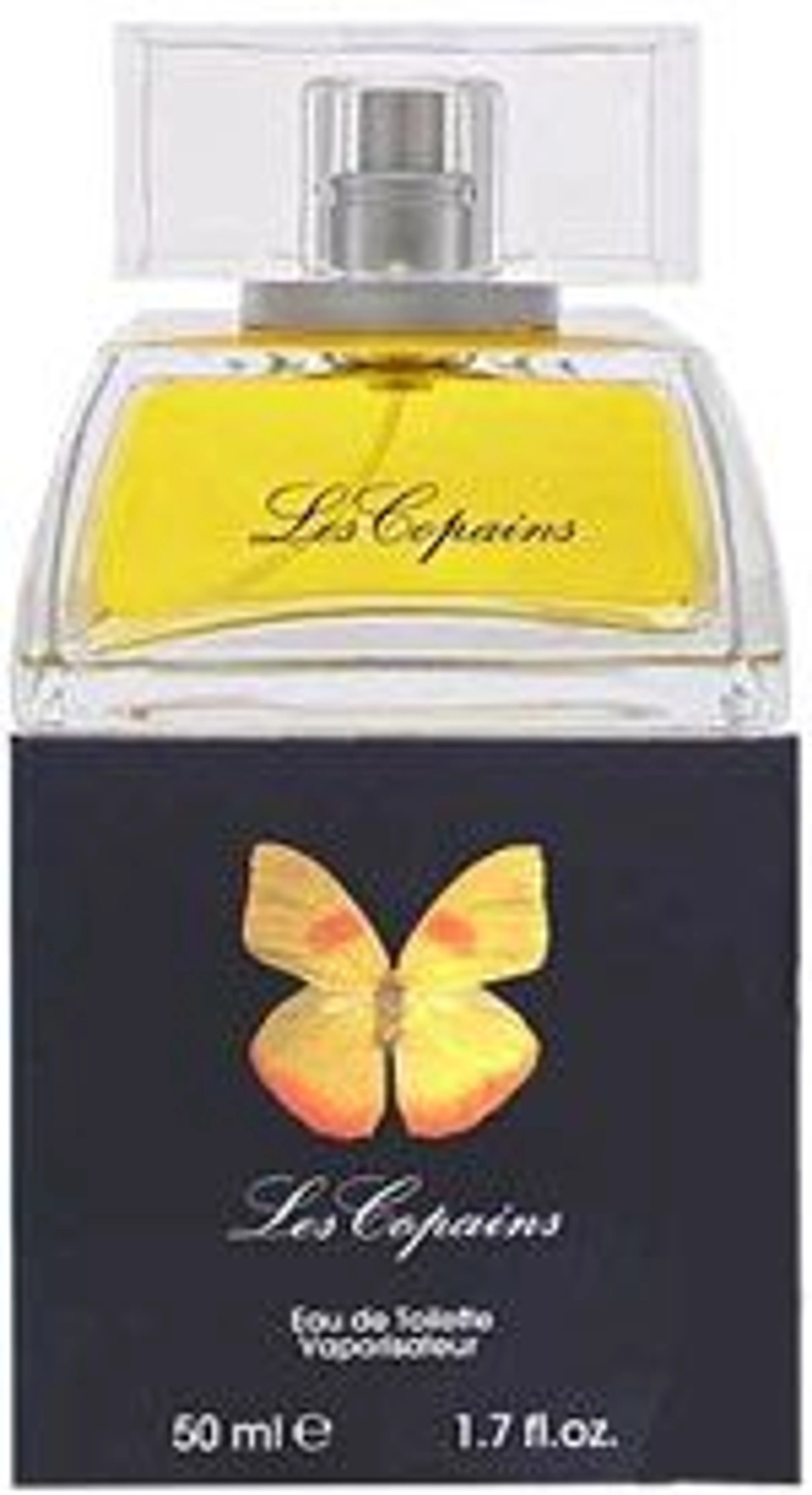 Papillon