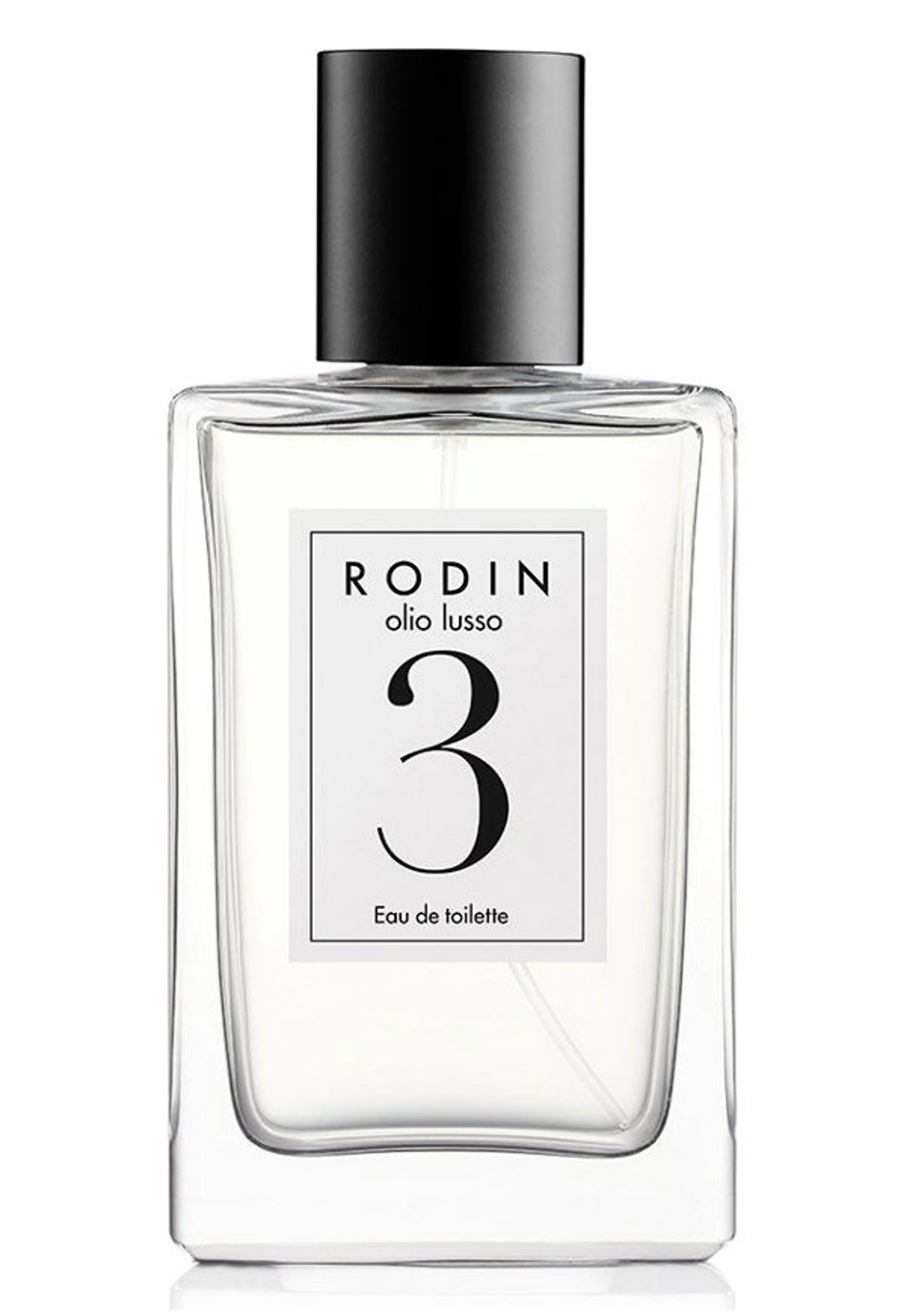 Rodin 3
