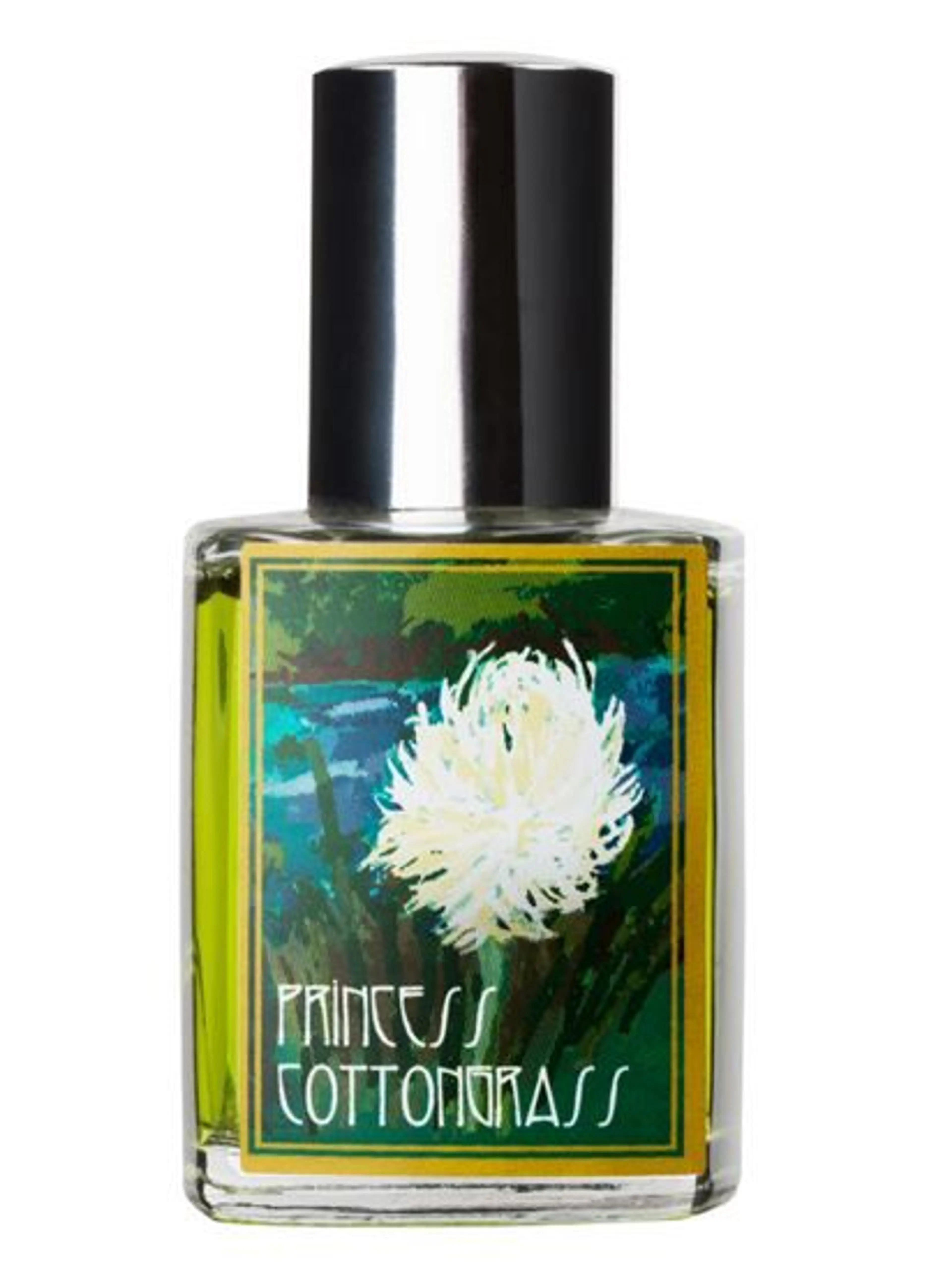 Princess Cottongrass