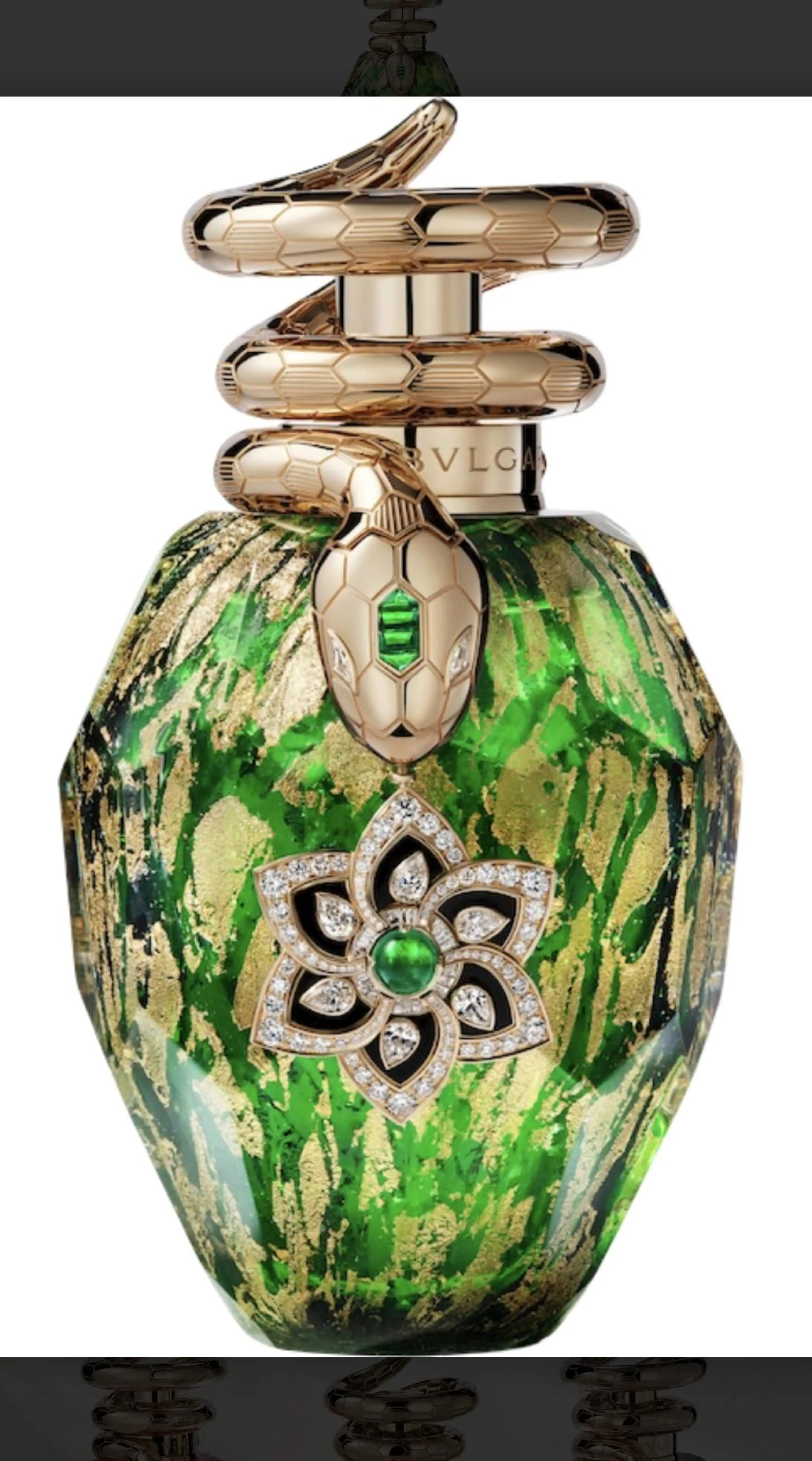 Polychroma Vitae
