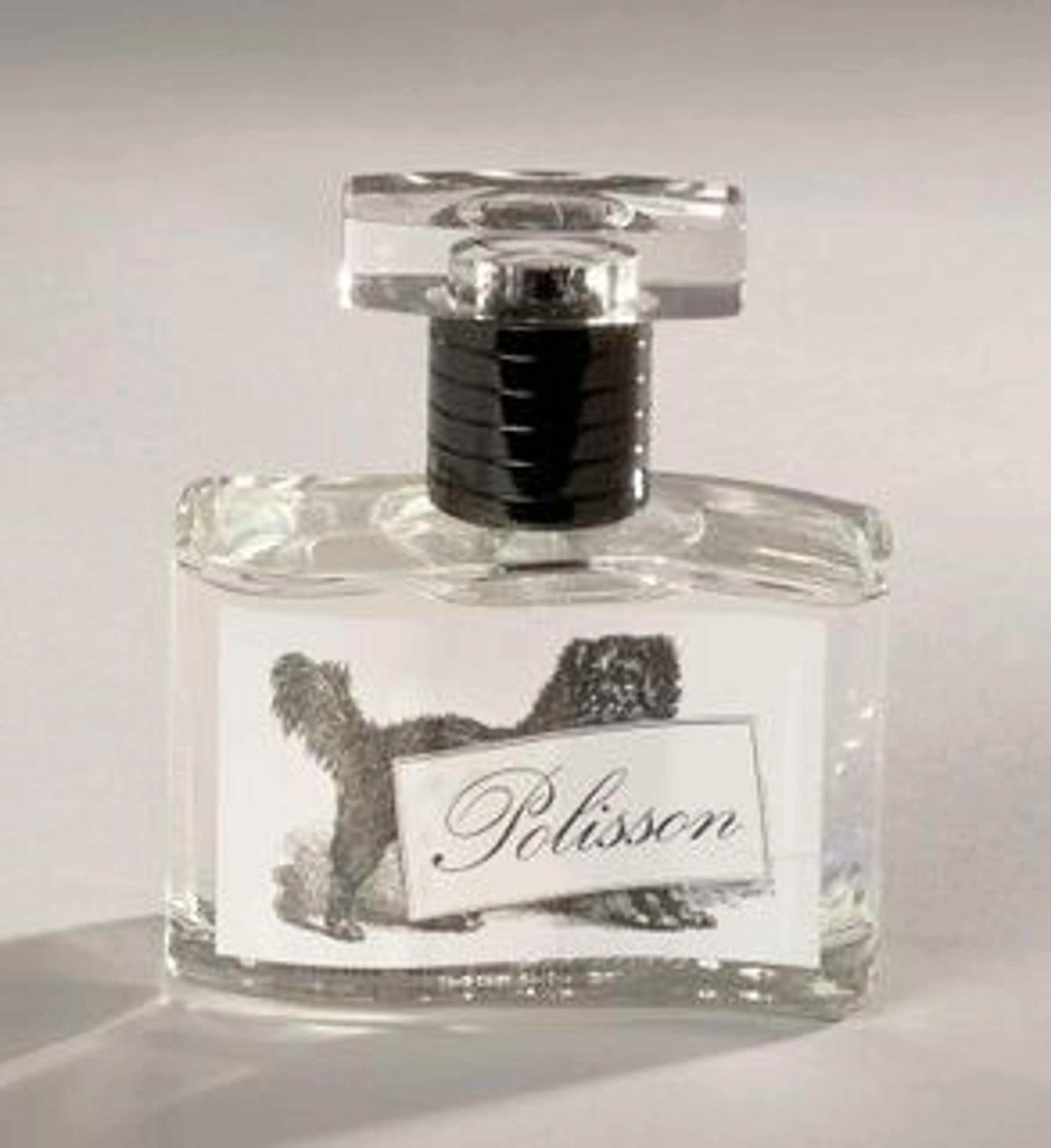 Polisson